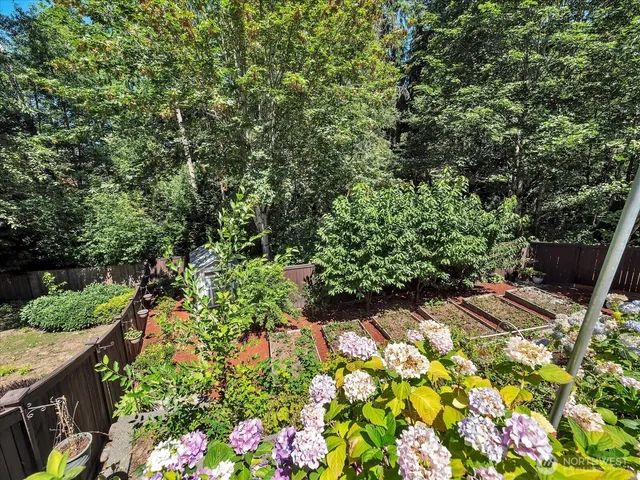 a view of a garden with flowers