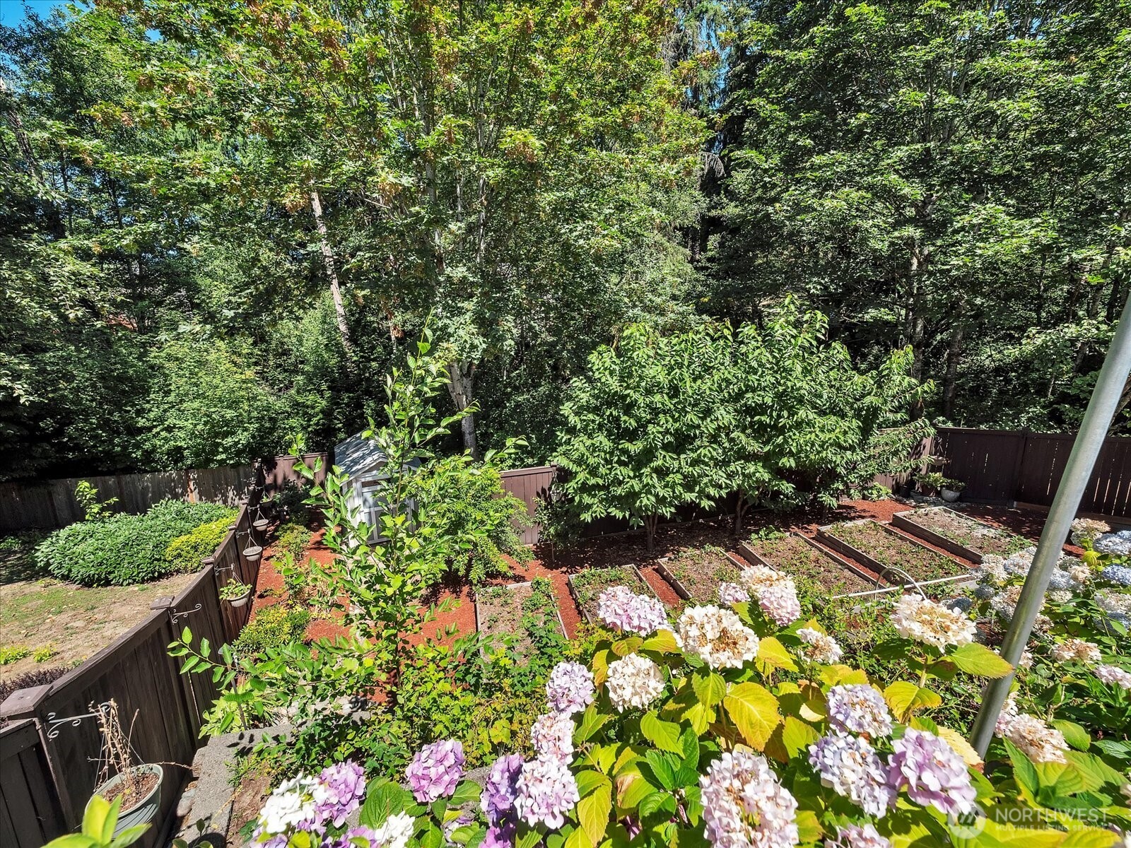 14740 Southeast 187 Court Renton, WA 98058 - Photo 29 of 38 a view of a garden with flowers