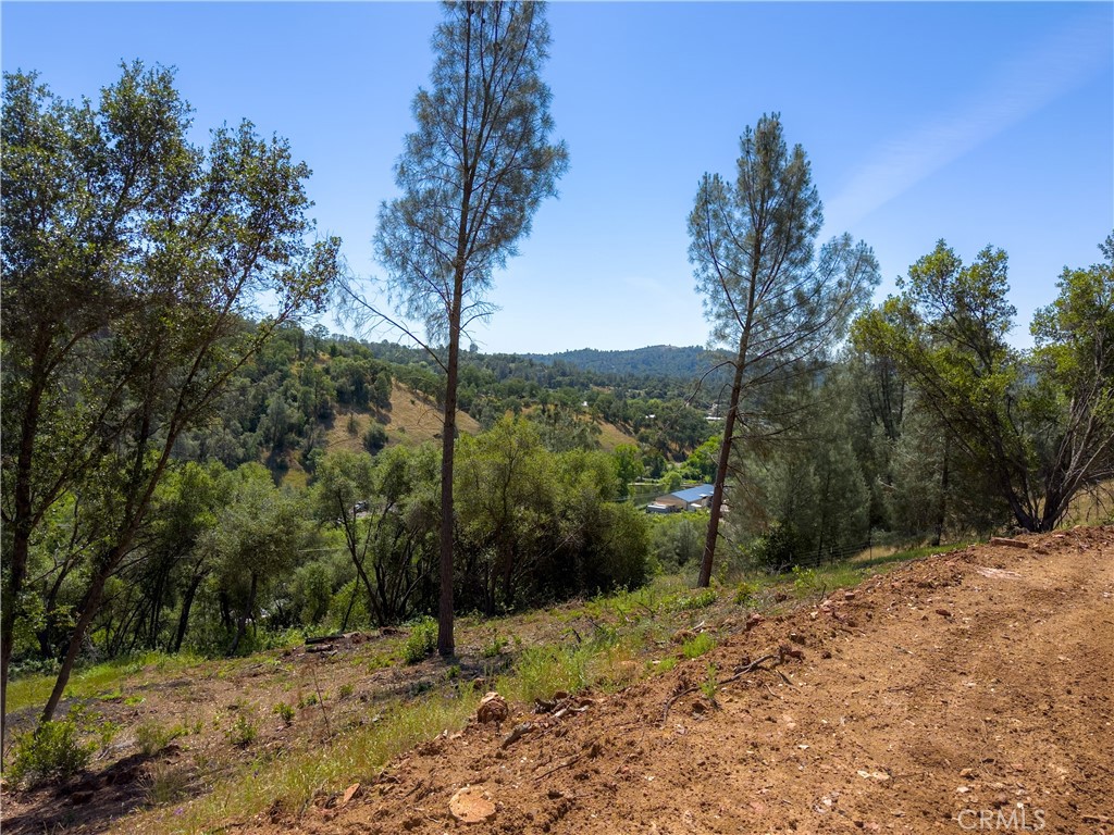 10 Miller Road Mariposa, CA 95338 - Photo 30 of 34 a view of a forest filled with trees