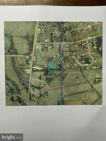 a view of a field with grass and trees