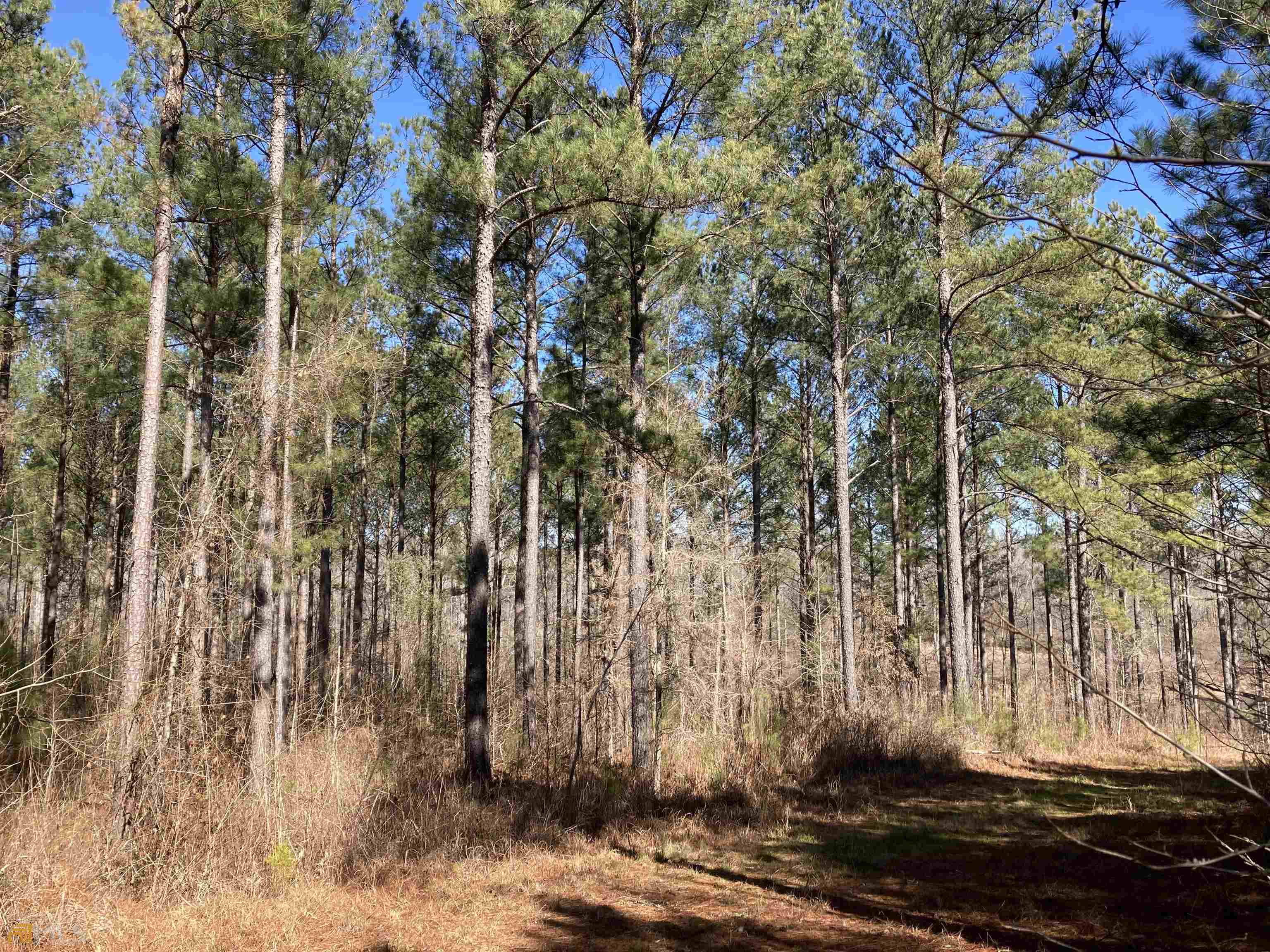 Tract 14 Aqua Road Madison, GA 30650 - Photo 1 of 1