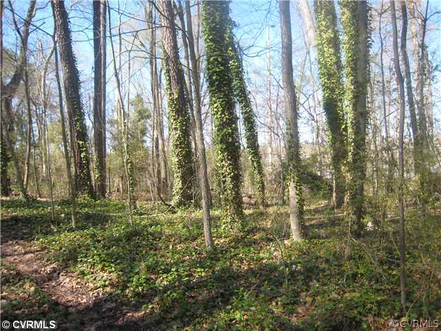 9820 Cherokee Road Richmond, VA 23235 - Photo 2 of 5 a view of outdoor space and trees