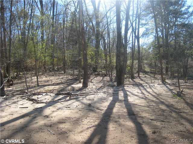 9820 Cherokee Road Richmond, VA 23235 - Photo 4 of 5 a view of a forest with trees