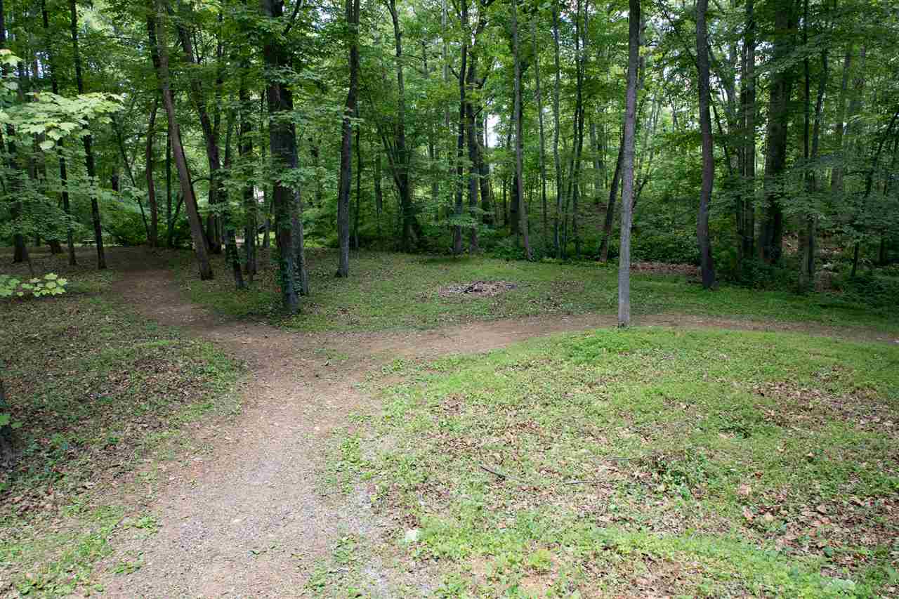 447 Mine Branch Road Crimora, VA 24431 - Photo 48 of 50 Gallery Image 48