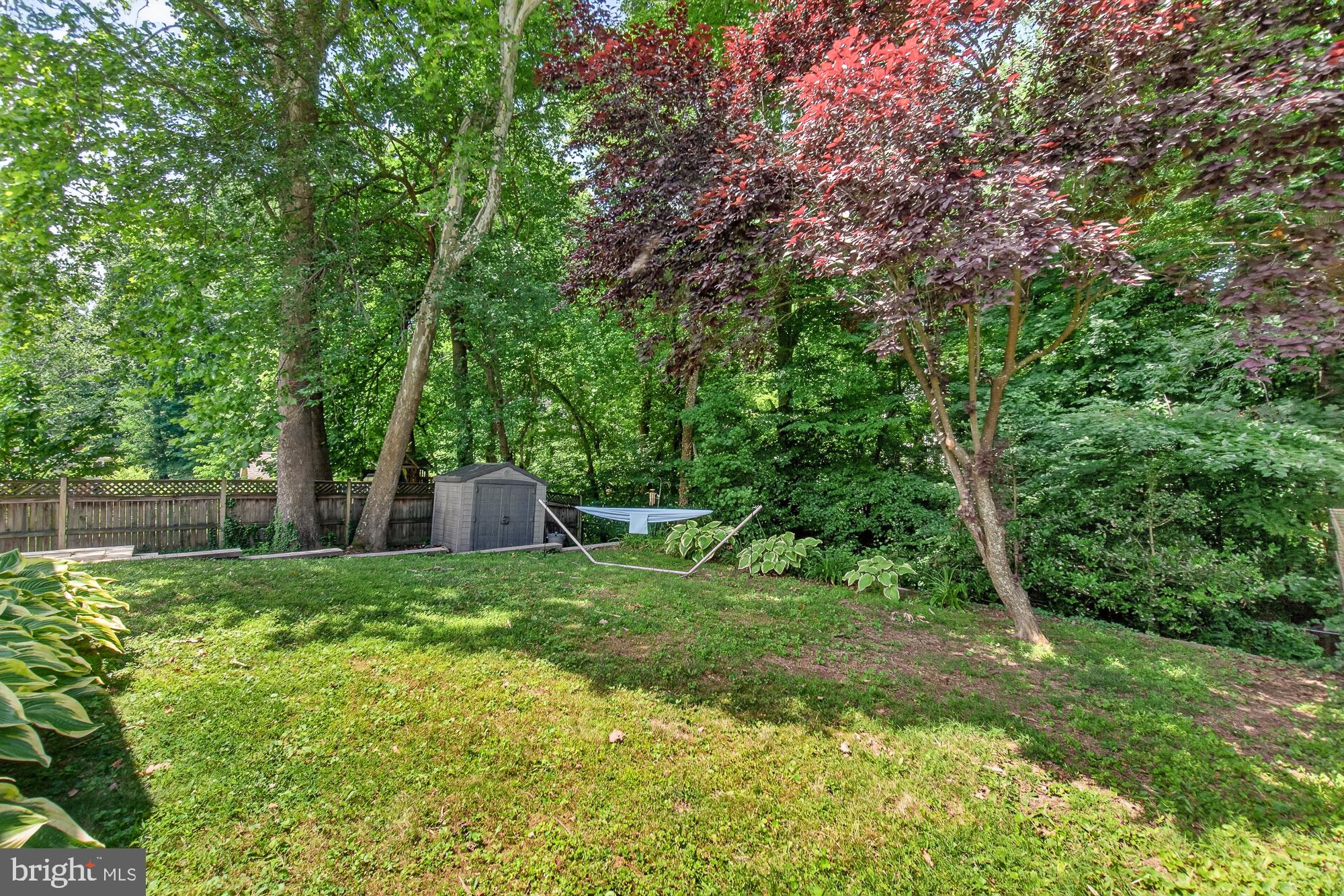 10202 Leslie Street Silver Spring, MD 20910 - Photo 35 of 44 Lush backyard oasis with vibrant trees.