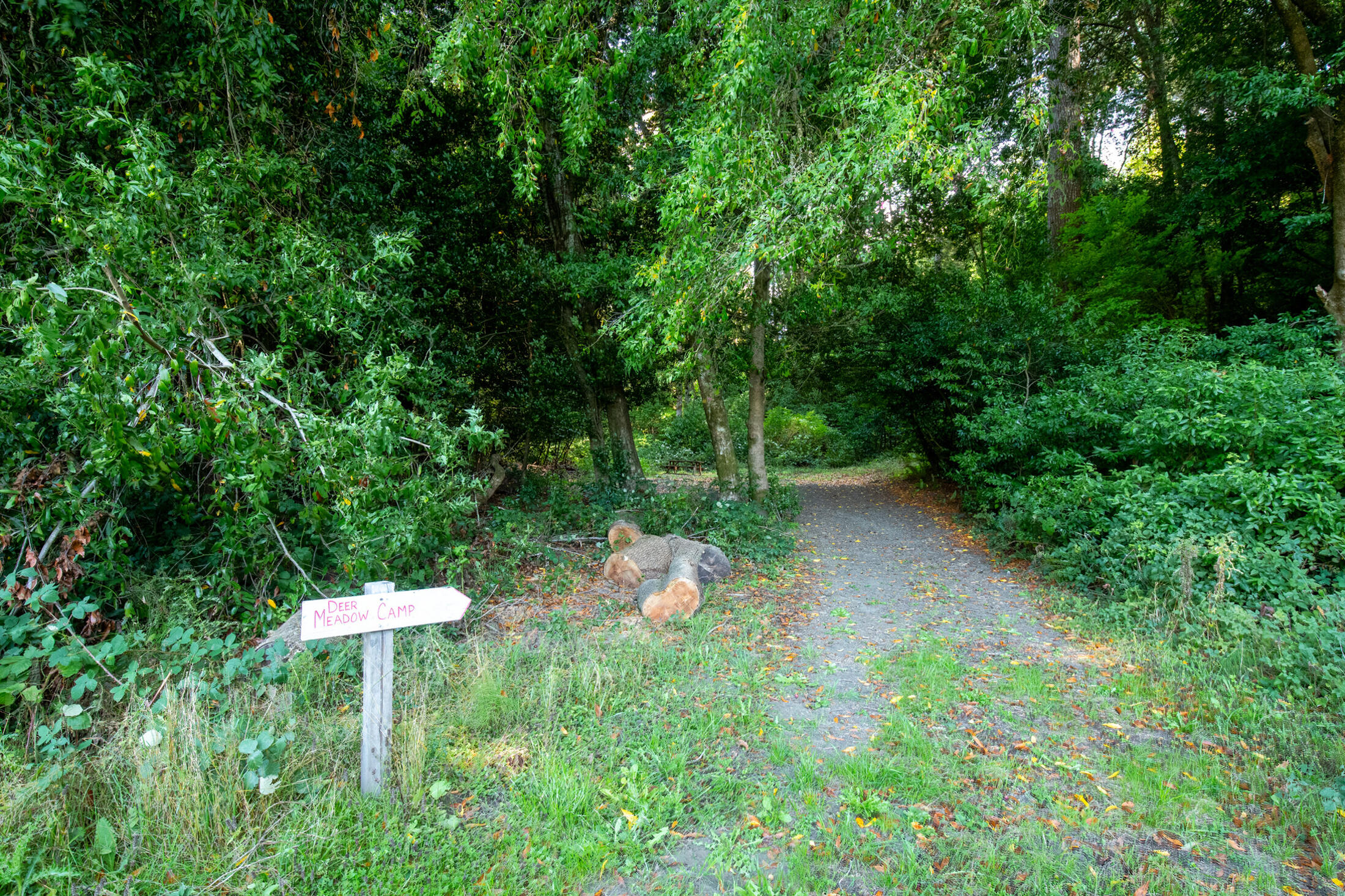 13065 Johnson Road Hoopa, CA 95546 - Photo 73 of 95