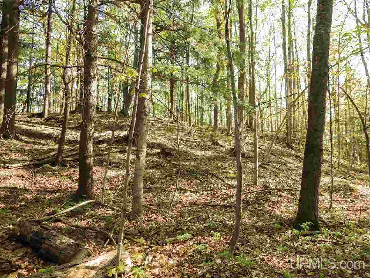 30 Acres Off Grove Street Marquette, MI 49855 - Photo 11 of 22