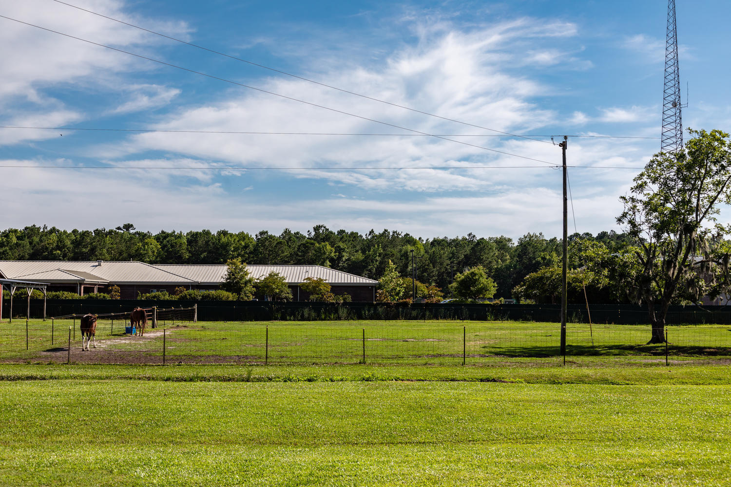 1123 Thames Road Awendaw, SC 29429 - Photo 5 of 22 1123 Thames Rd Awendaw SC-large-005-007-