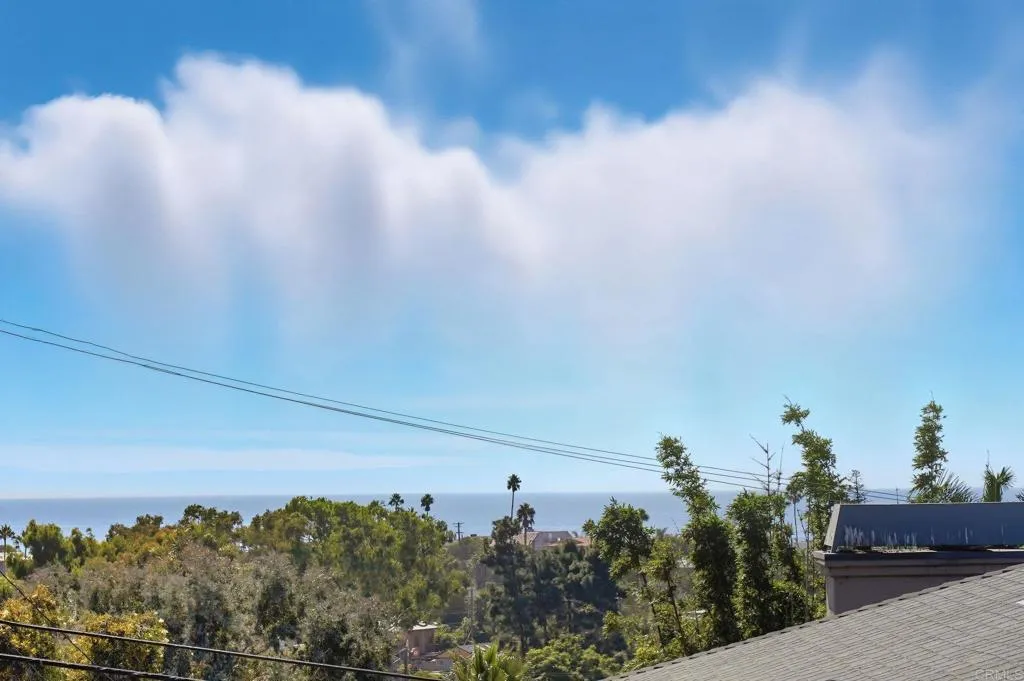 553 Hygeia Avenue Encinitas, CA 92024 - Photo 2 of 54