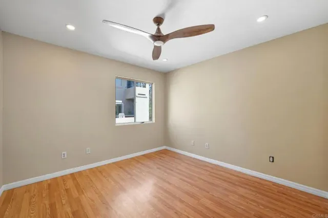 a view of a tree with some plants