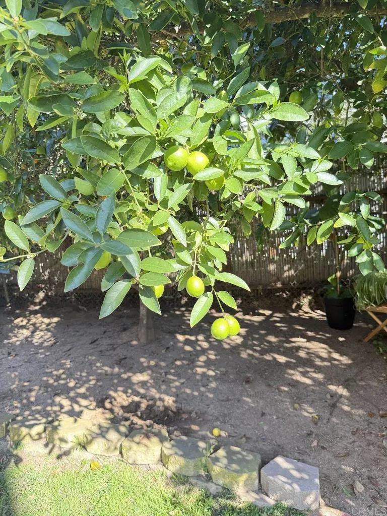 553 Hygeia Avenue Encinitas, CA 92024 - Photo 51 of 54