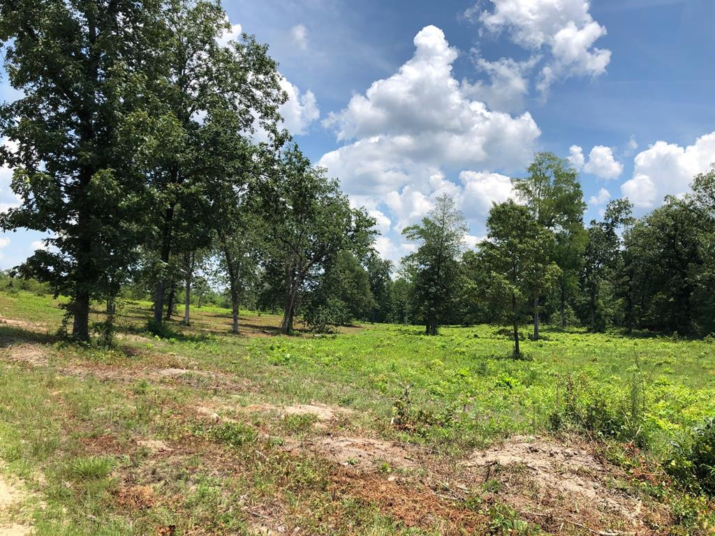 0 Eagle Road North Augusta, SC 29860 - Photo 1 of 10