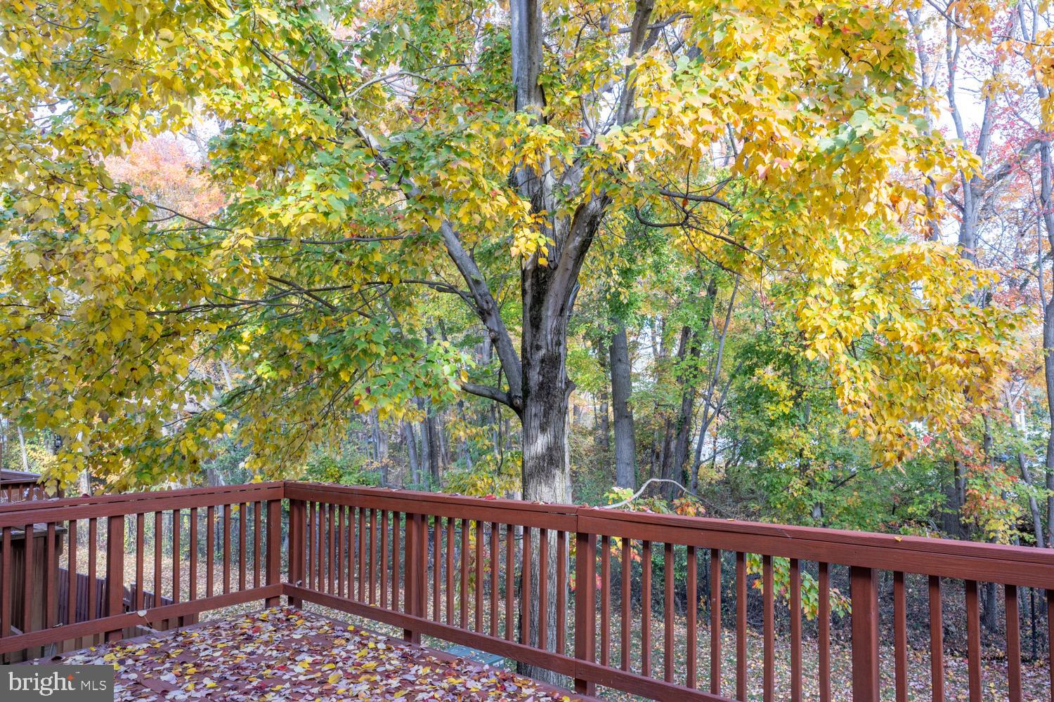 2040 Pieris Court Vienna, VA 22182 - Photo 27 of 41