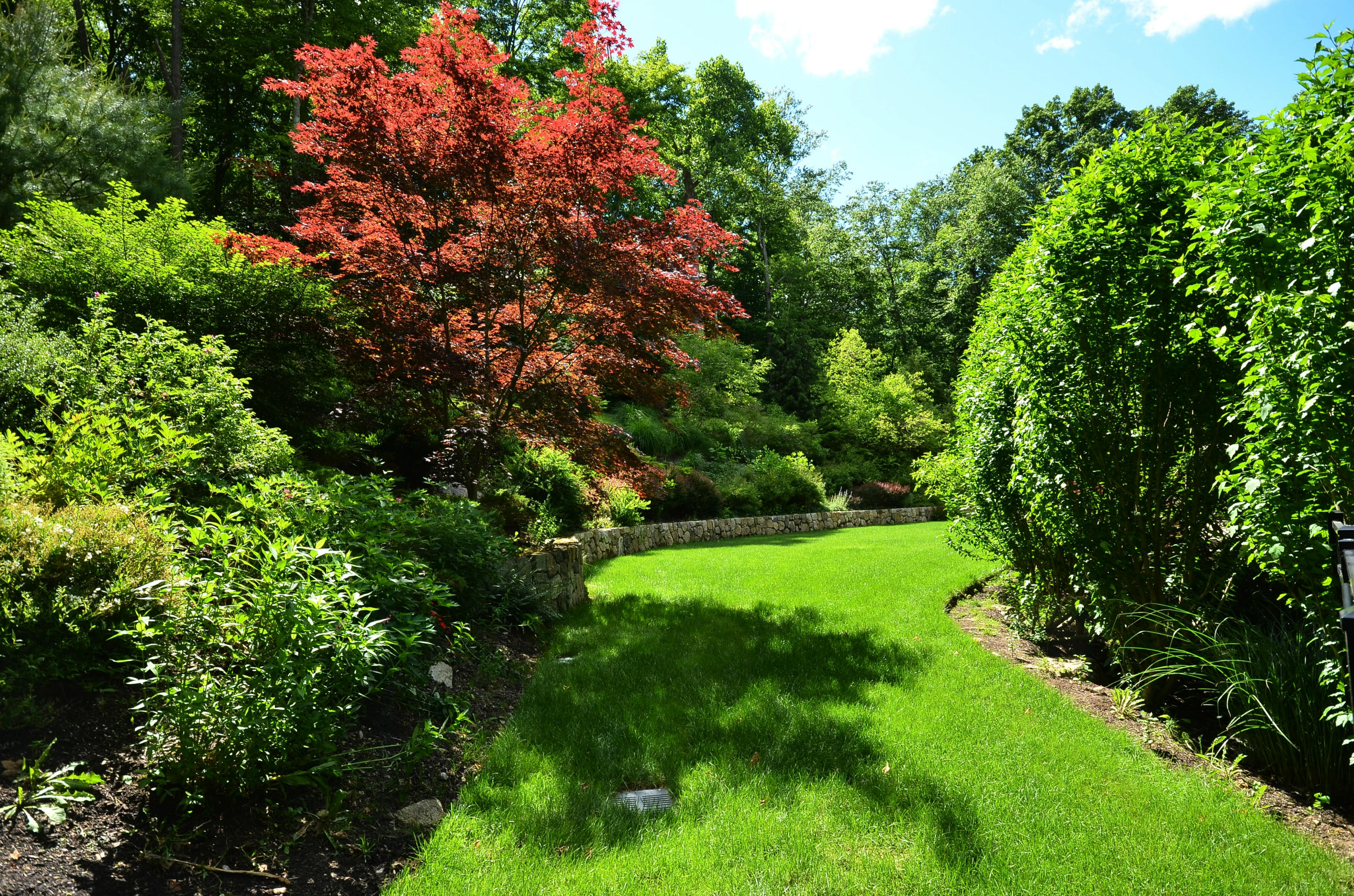 658 Valley Road New Canaan, CT 06840 - Photo 5 of 23 a view of a garden with a tree