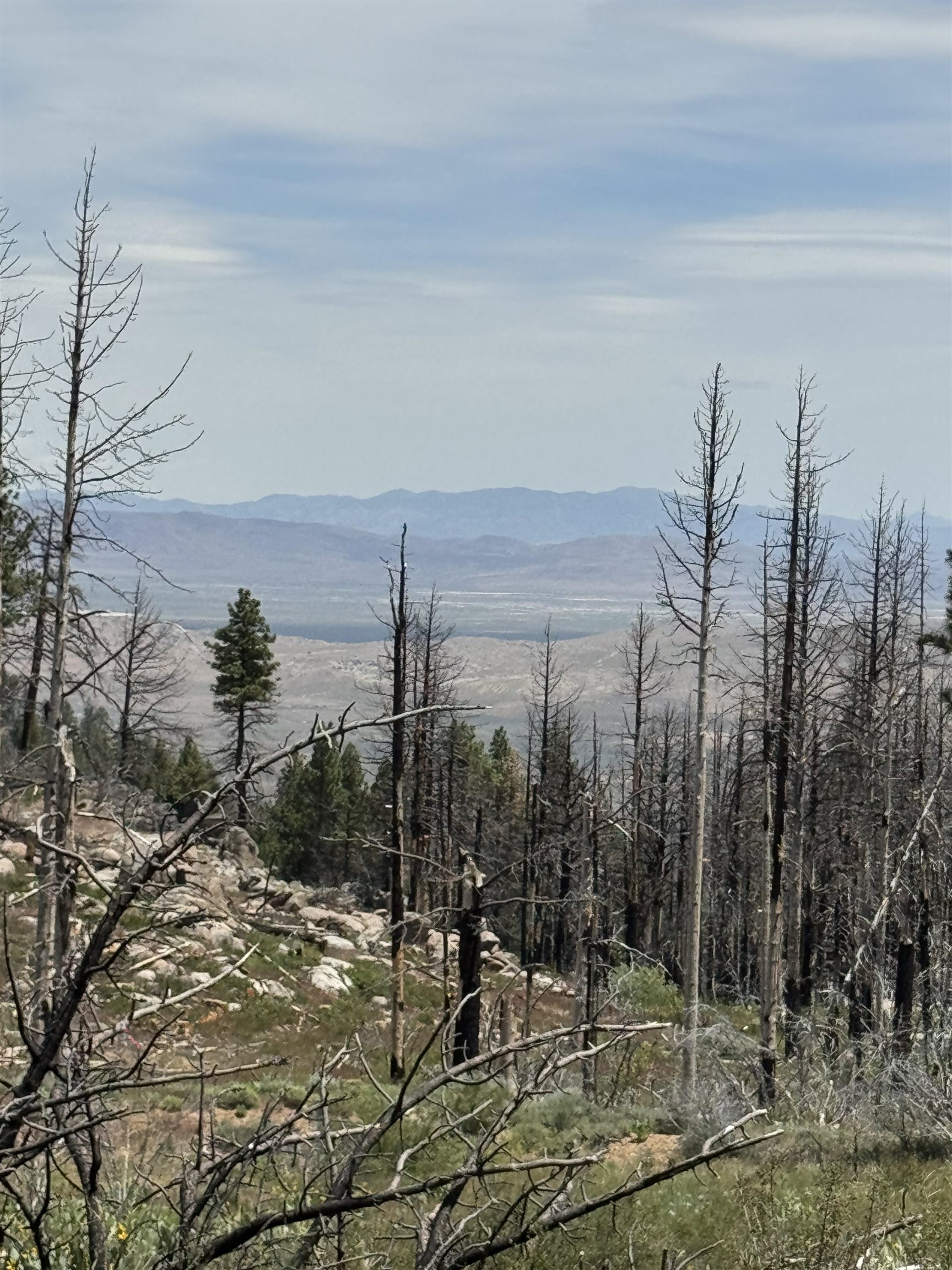 434-100 Diamond Mountain Road Doyle, CA 96109 - Photo 51 of 57