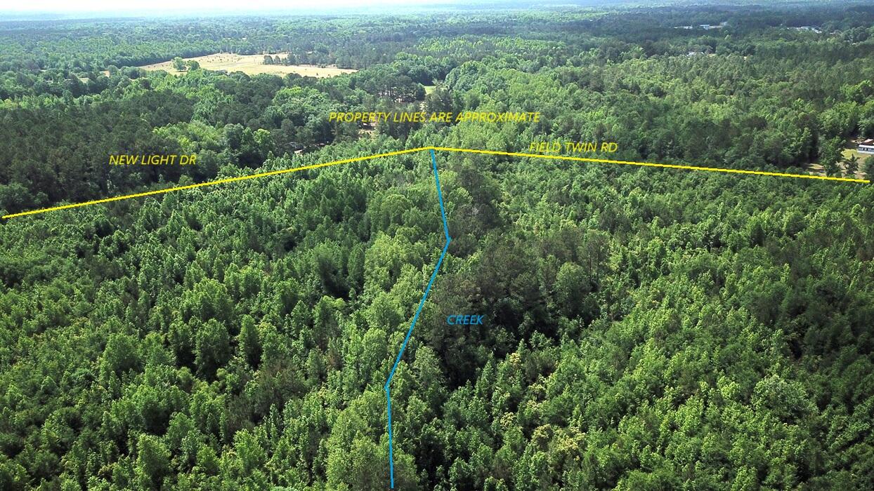 0 New Light Drive Neeses, SC 29107 - Photo 4 of 14 DJI_0026