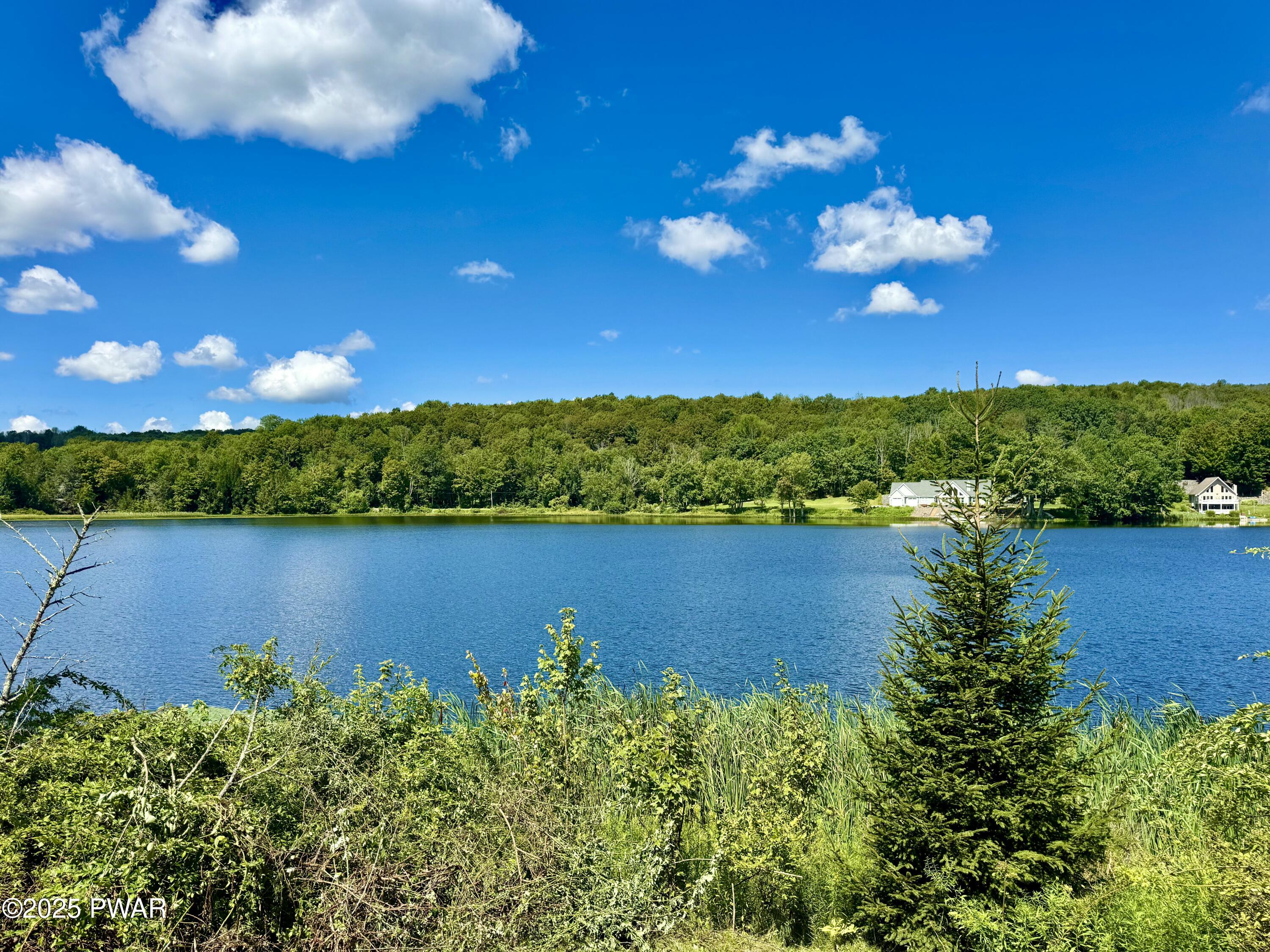 76 South Shore Road Pleasant Mount, PA 18453 - Photo 5 of 30 Gorgeous Bigelow lake