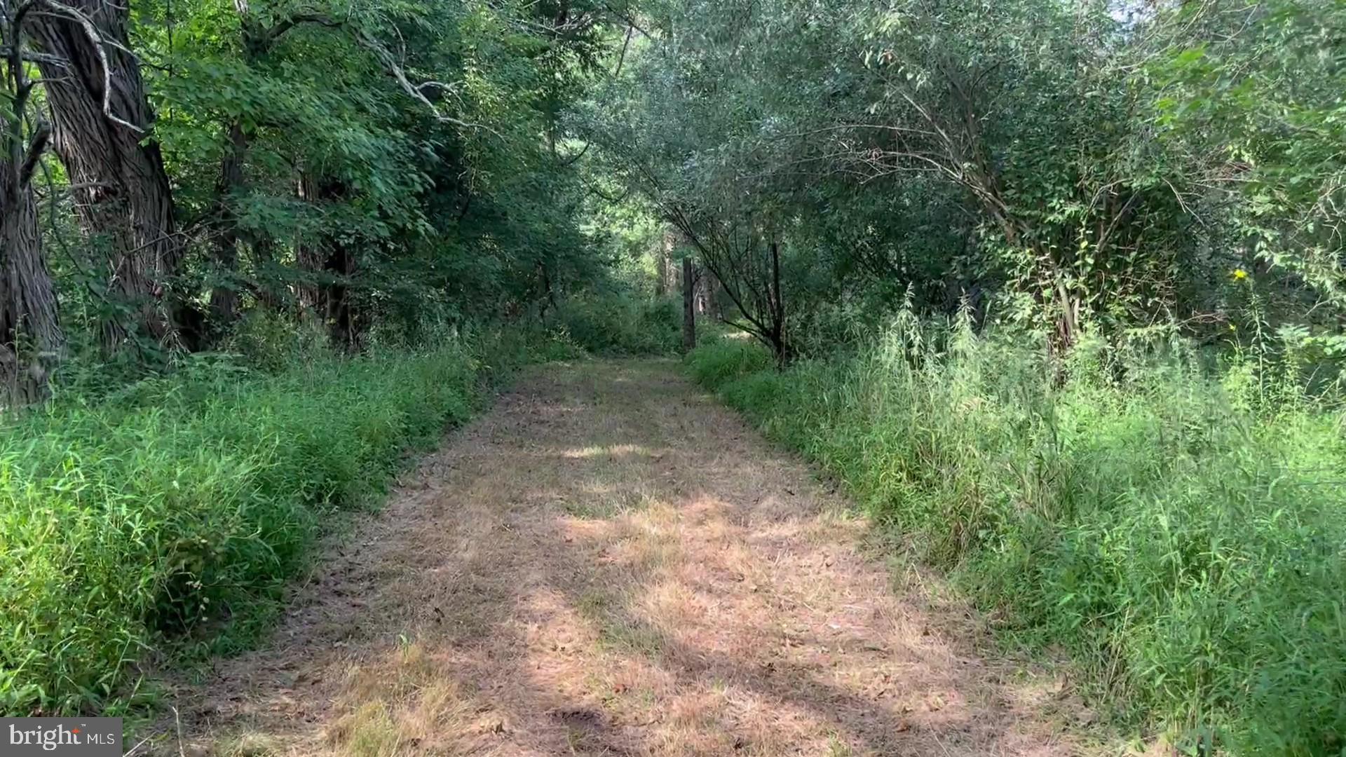 37 Barbertown Point Breeze Road, Unit 3 LOT Frenchtown, NJ 08825 - Photo 28 of 47 Trail path 3