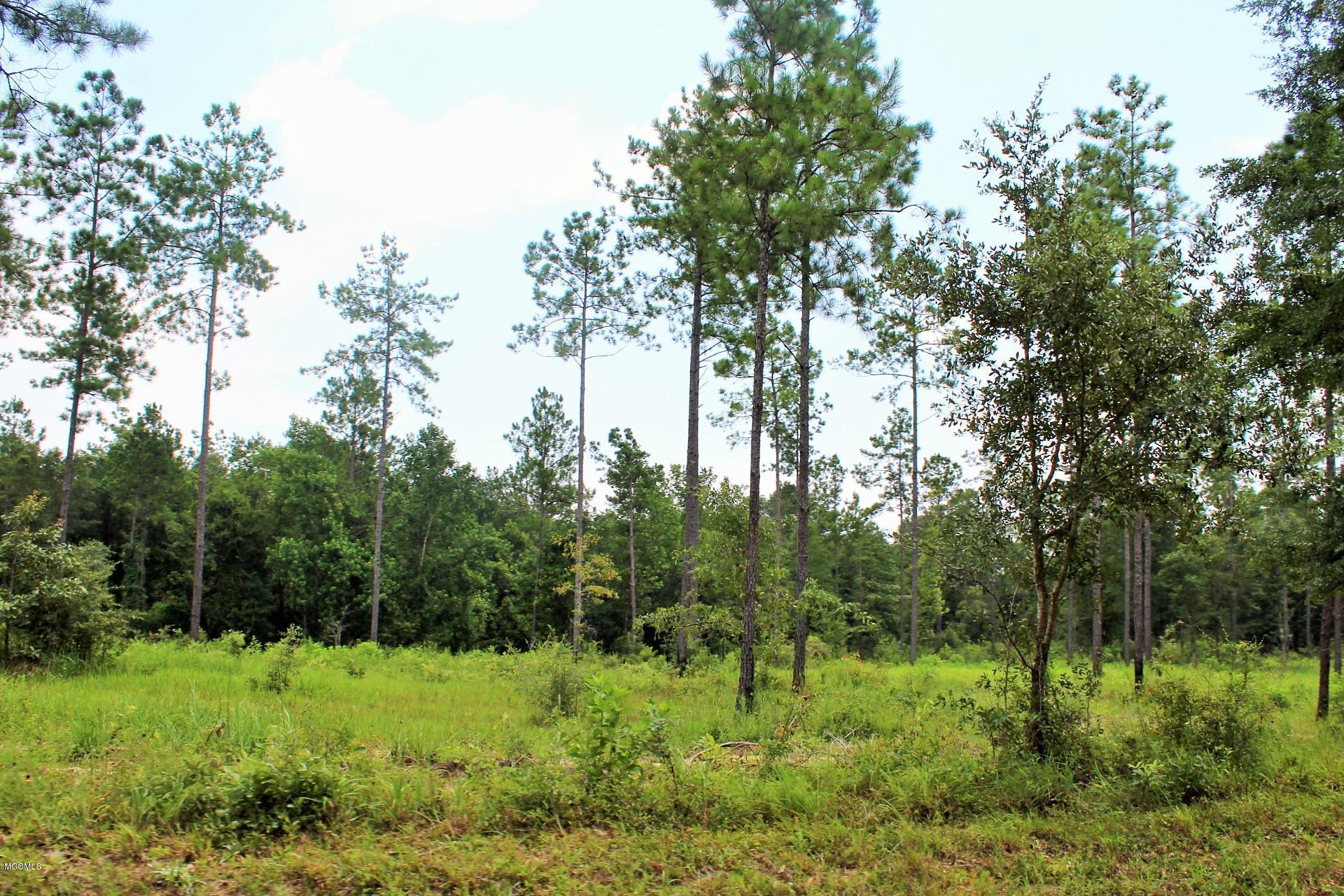 9-ac Homestead Road Lucedale, MS 39452 - Photo 5 of 14 IMG_2433
