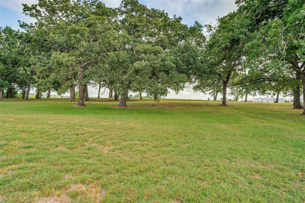 Tbd Massey Road Pilot Point, TX 76258 - Photo 4 of 13