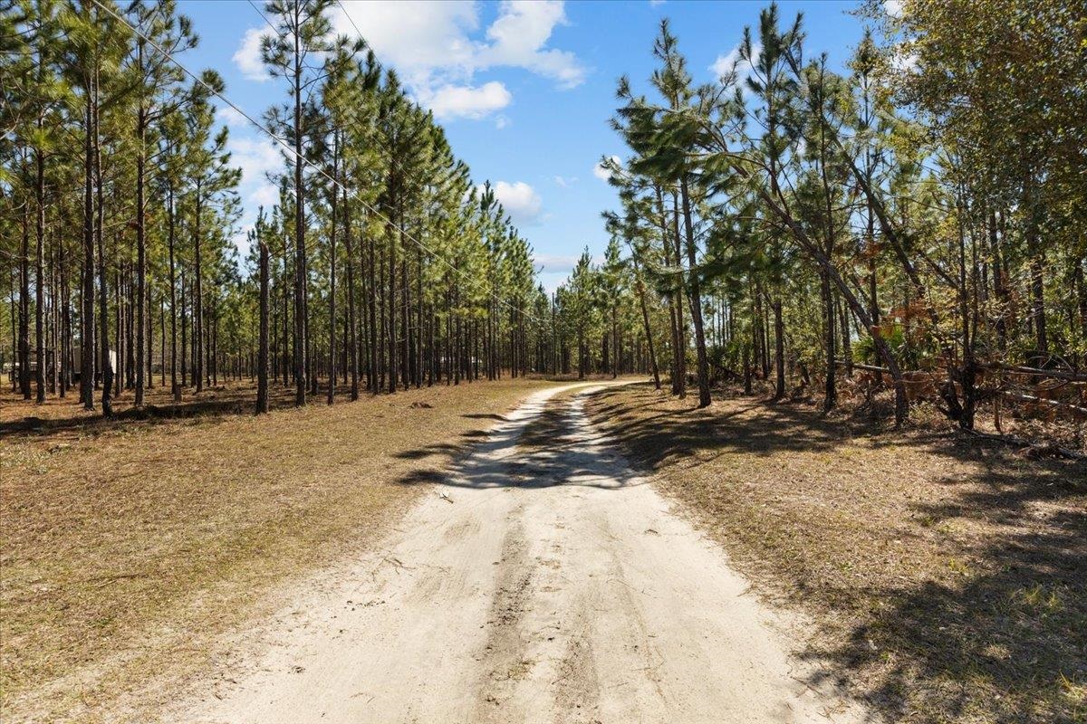 100 Davis Walker Road Perry, FL 32348 - Photo 53 of 70