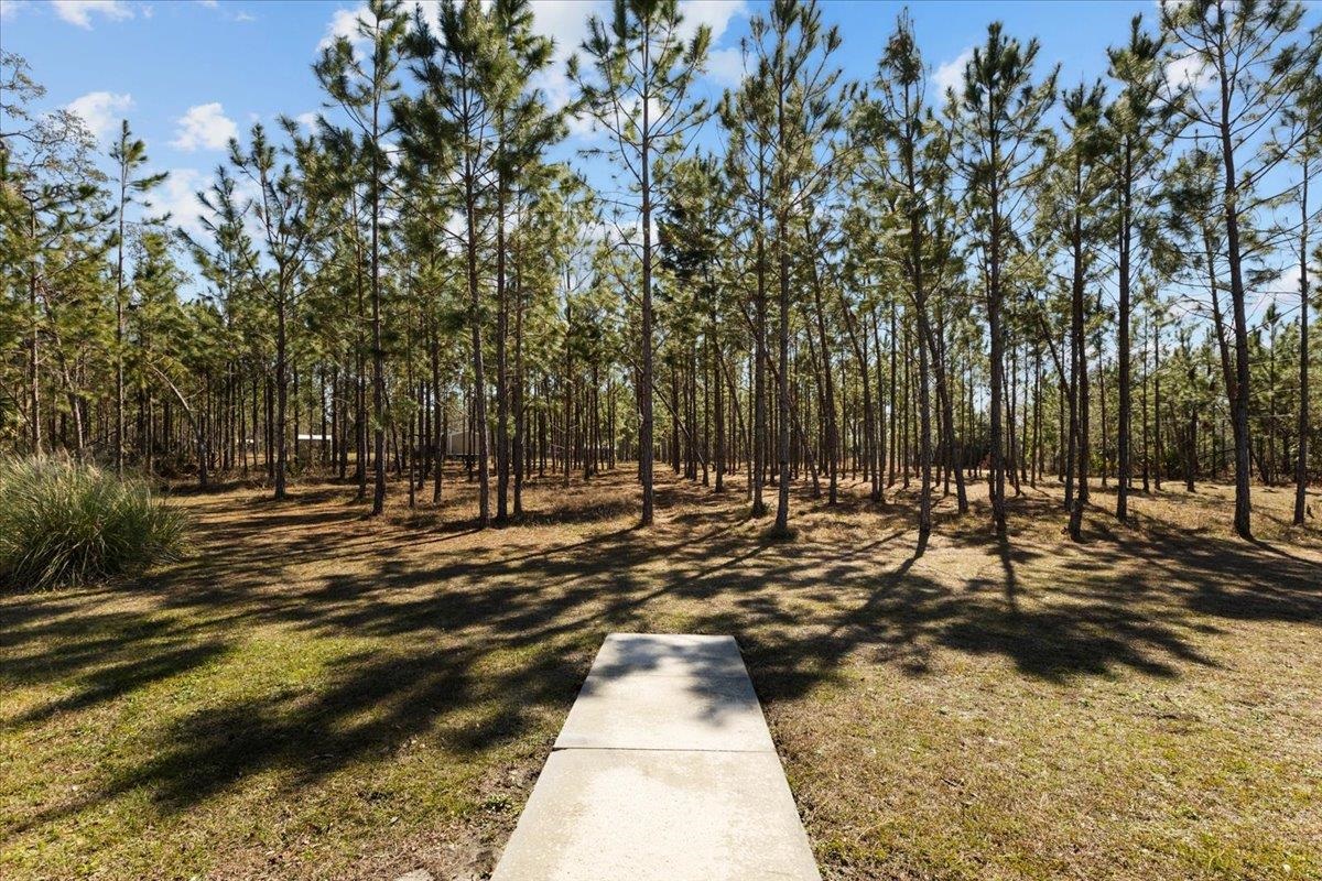 100 Davis Walker Road Perry, FL 32348 - Photo 8 of 70