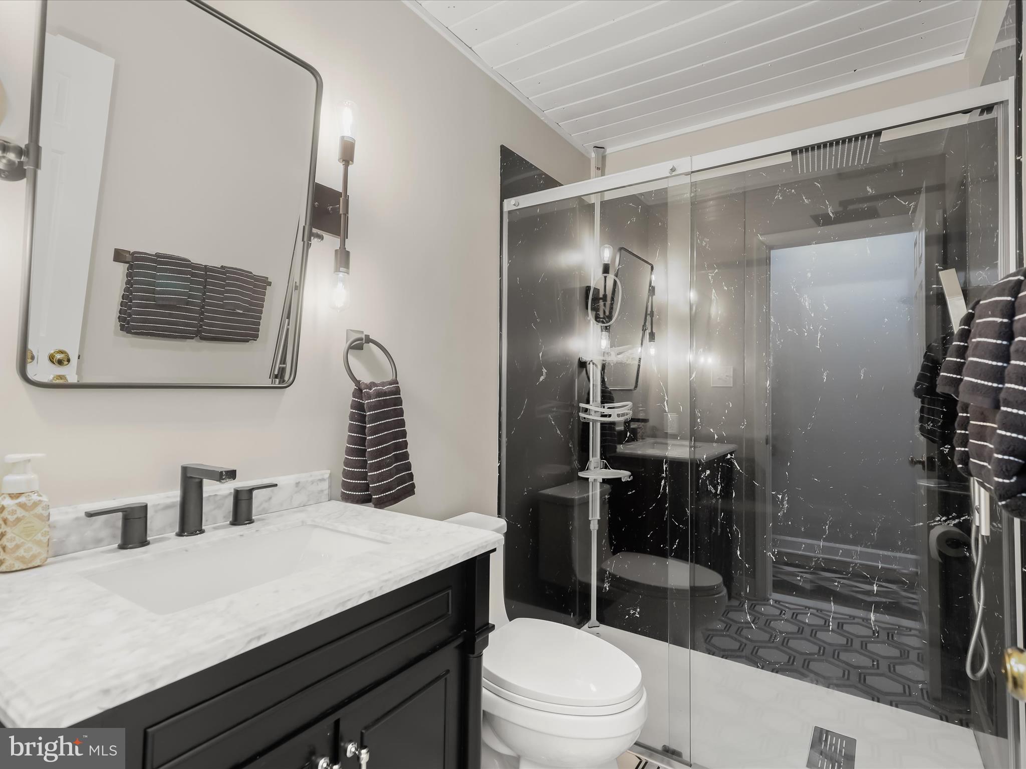 10901 Moxley Road Damascus, MD 20872 - Photo 32 of 148 a bathroom with a sink a toilet a mirror and shower