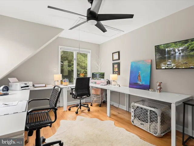 a view of a park with large trees