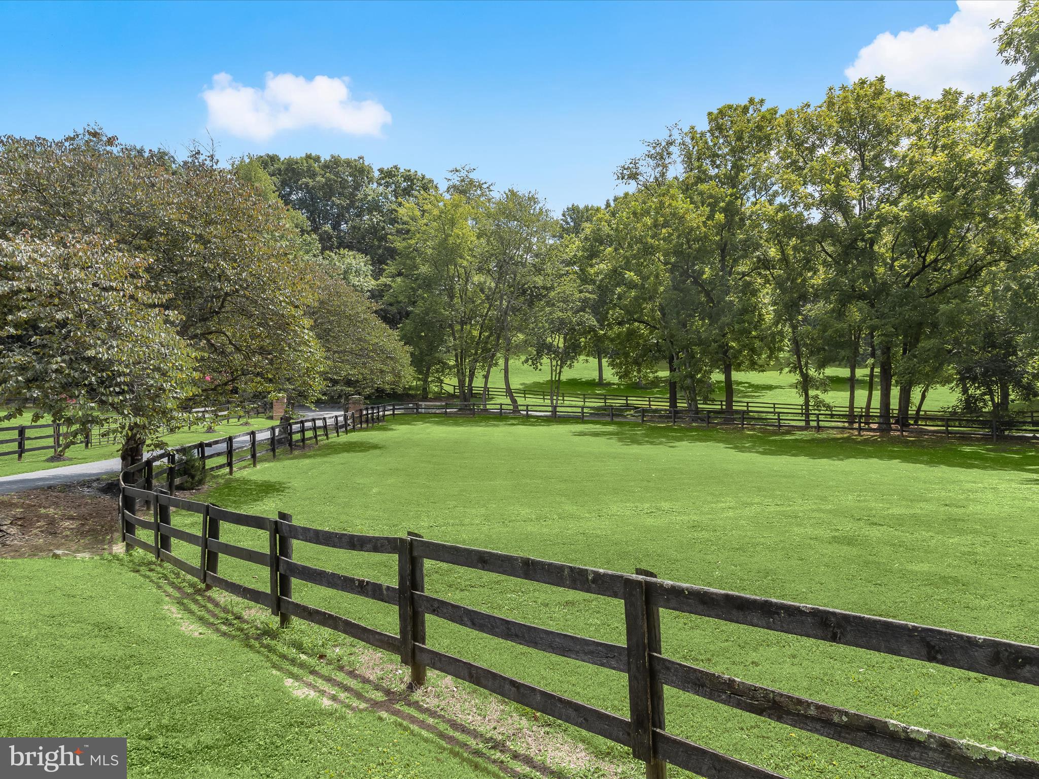 10901 Moxley Road Damascus, MD 20872 - Photo 6 of 148 Pasture