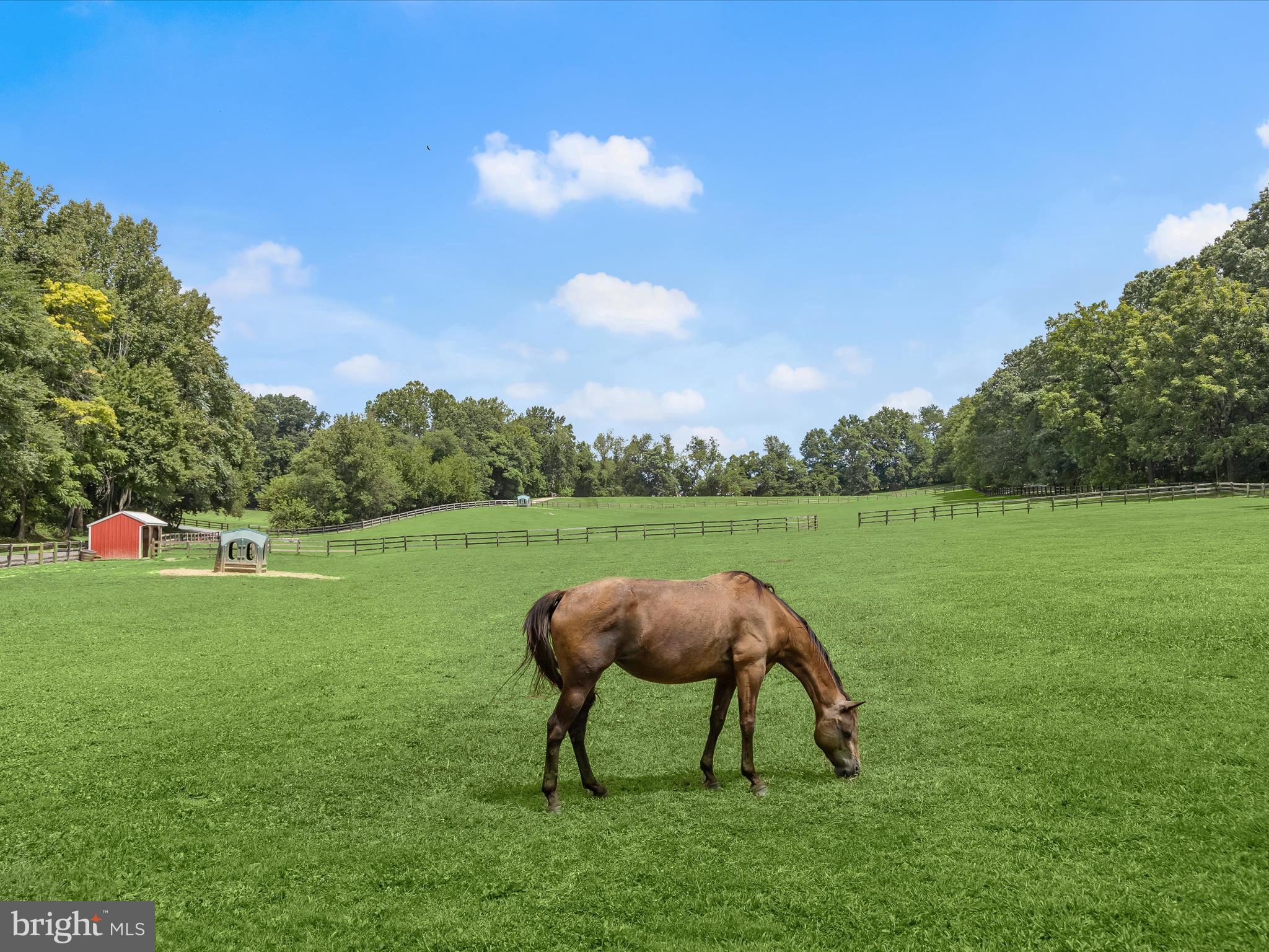 10901 Moxley Road Damascus, MD 20872 - Photo 7 of 148 Pasture