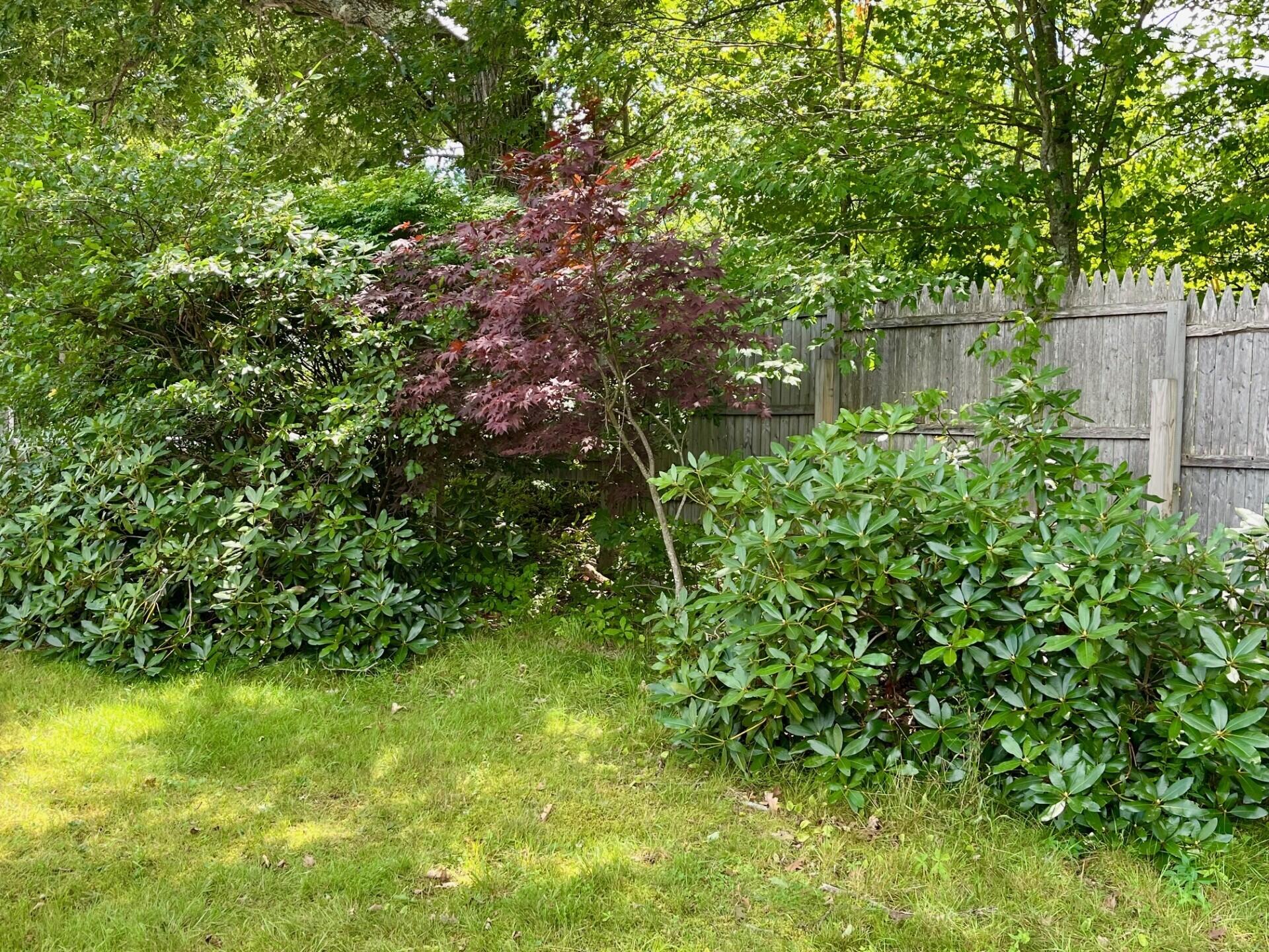 766 Brunswick Road Richmond, ME 04357 - Photo 26 of 53 thumbnail_IMG_0233