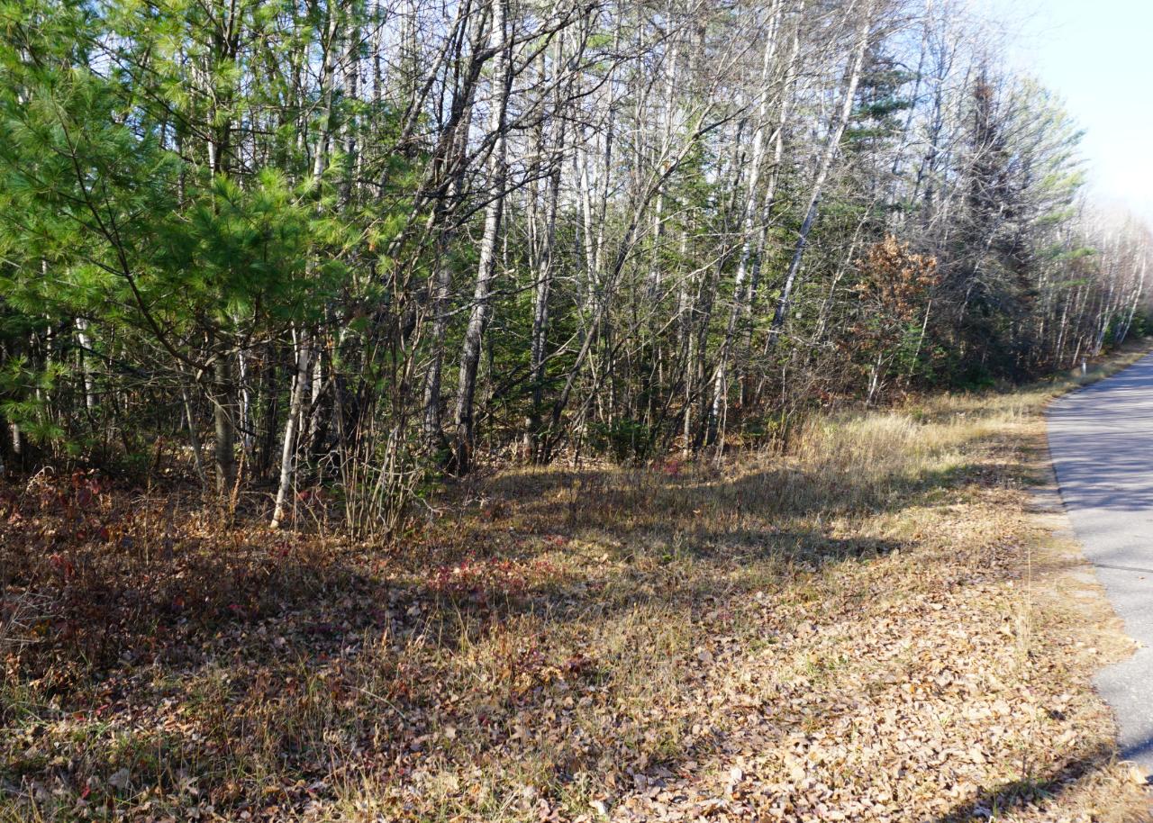 Lot 3 Sheep Ranch Road Rhinelander, WI 54501 - Photo 1 of 11 Gallery Image 1