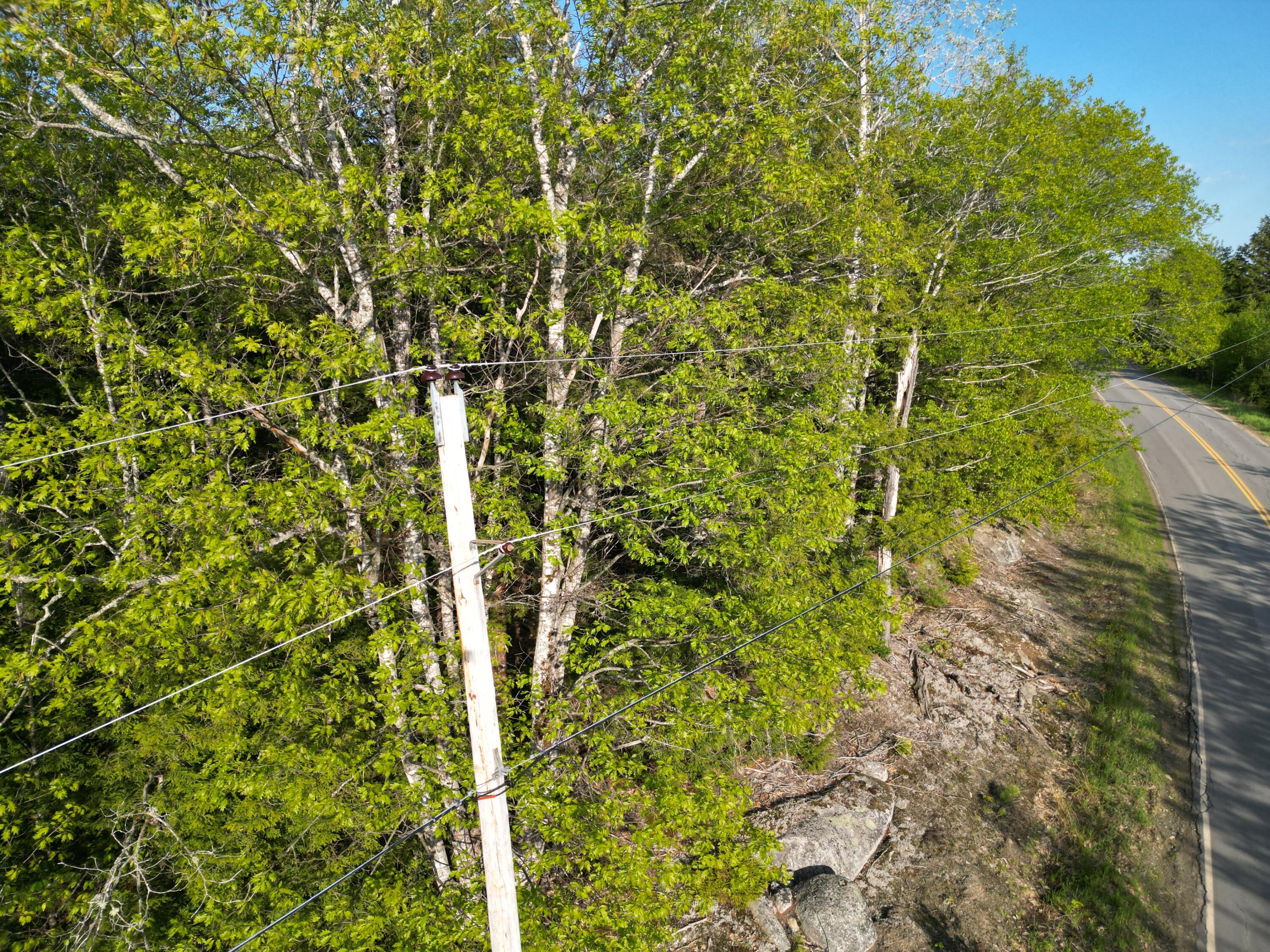 Lot 41-1 Bottle Lake Road Lakeville, ME 04487 - Photo 15 of 23 DJI_0614