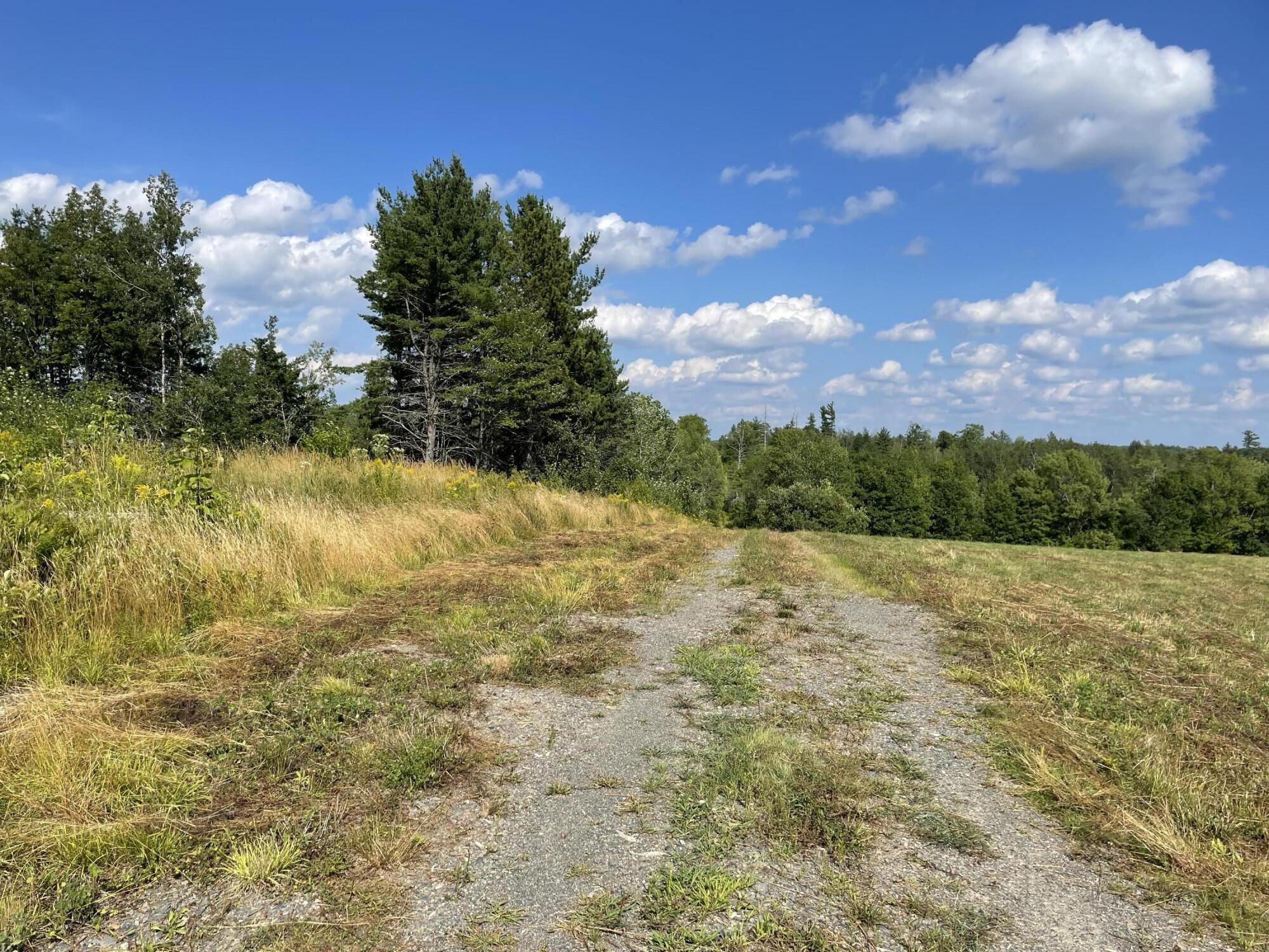 0 Bennett Pond Road Parkman, ME 04443 - Photo 27 of 37 IMG_0946