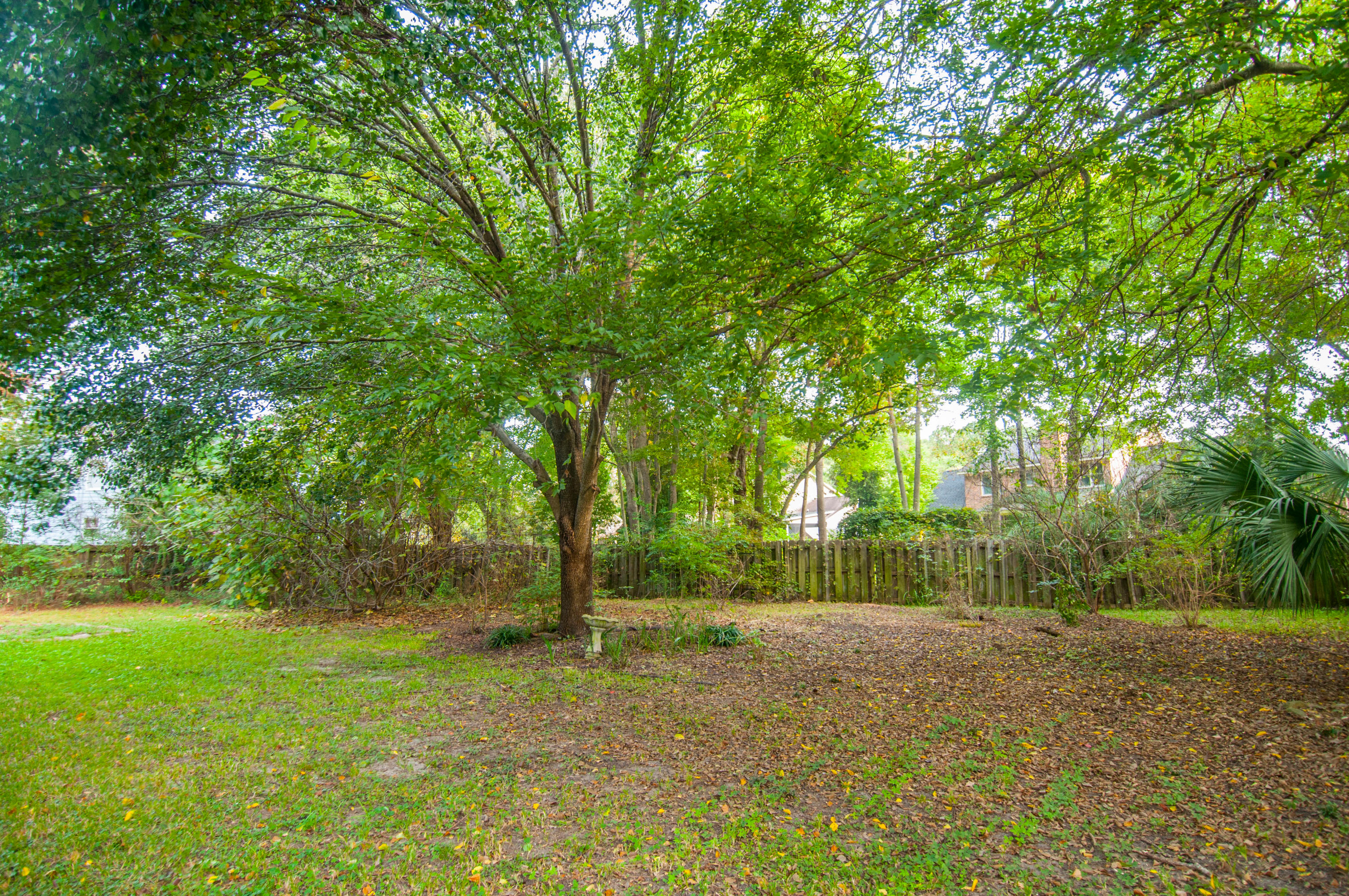 1925 Ashley Hall Road Charleston, SC 29407 - Photo 23 of 26 _DSC1983