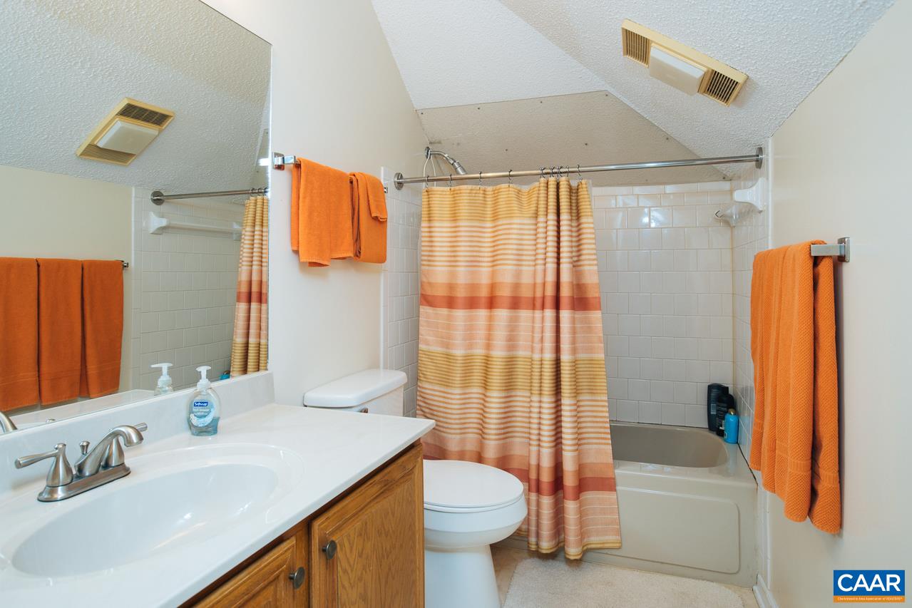2045 Stone Ridge Roseland, VA 22967 - Photo 16 of 17 a bathroom with a sink a toilet and shower