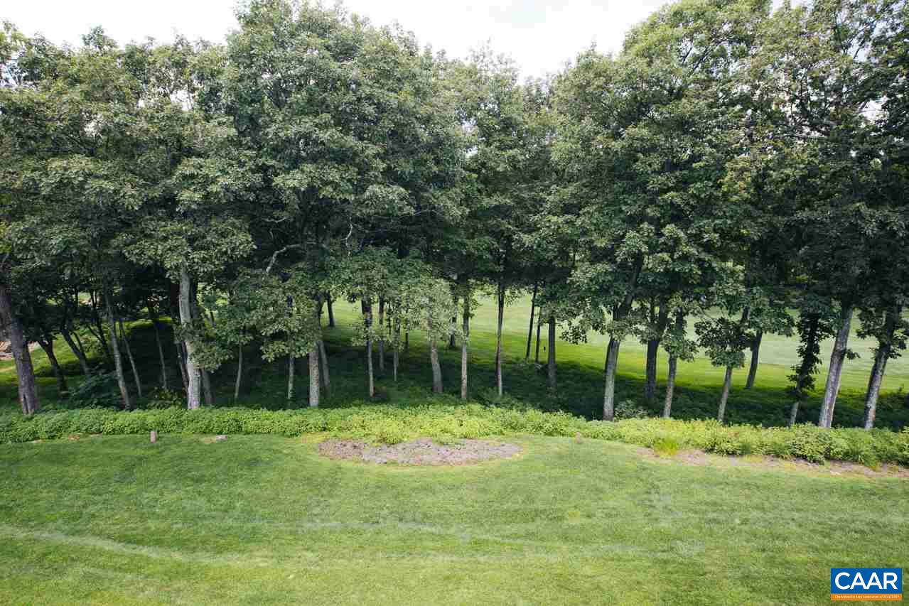 2045 Stone Ridge Roseland, VA 22967 - Photo 9 of 17 a backyard of a house with lots of plants and large tree