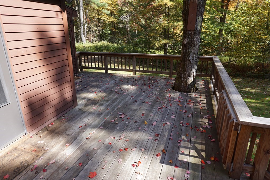 147 Thicket Road Tolland, MA 01034 - Photo 3 of 19 a view of stairs and a yard next to a road