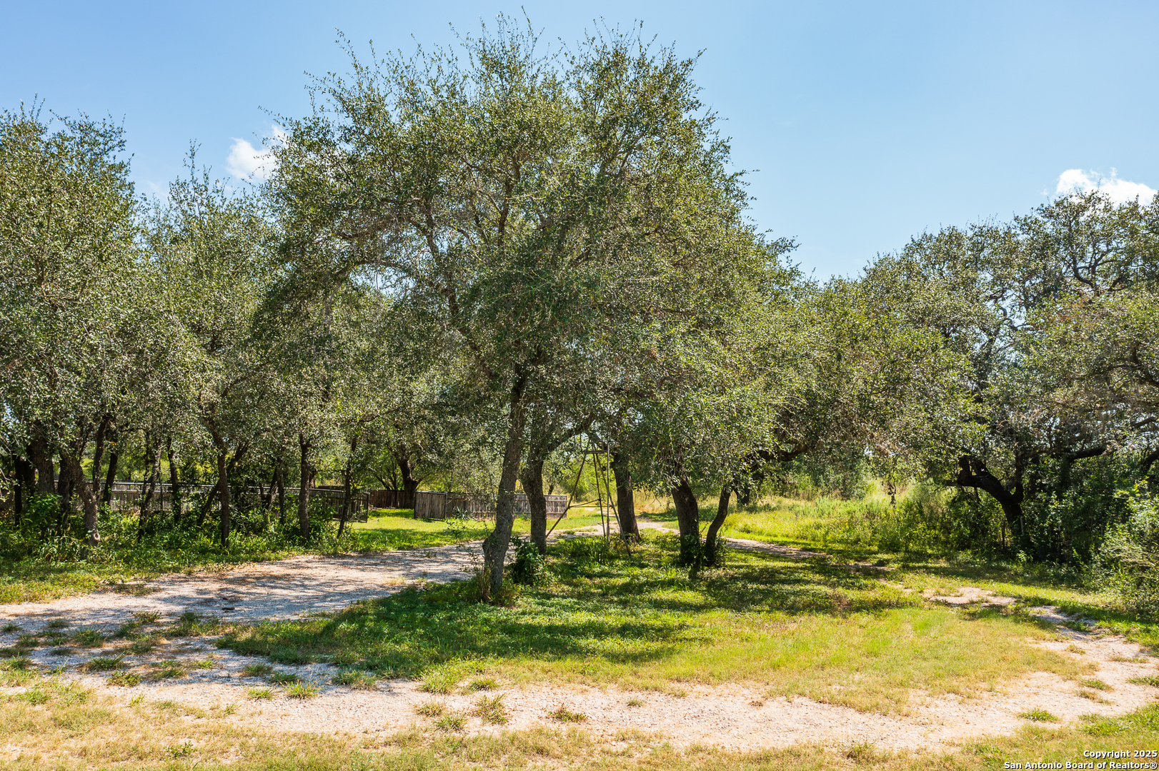 13831 Highway 127 Sabinal, TX 78881 - Photo 45 of 55 a view of a yard with a trees