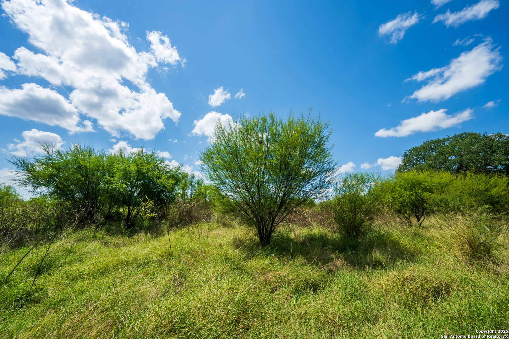 13831 Highway 127 Sabinal, TX 78881 - Photo 53 of 55 a backyard of a house with lots of green space