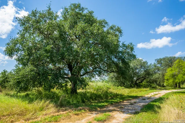 $1,100,000 | 13831 Highway 127, Sabinal, TX 78881