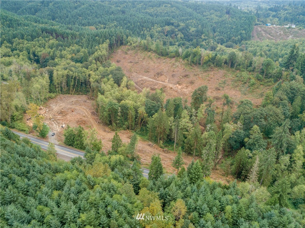0 Holcomb Road Kelso, WA 98626 - Photo 3 of 14 Gallery Image 3