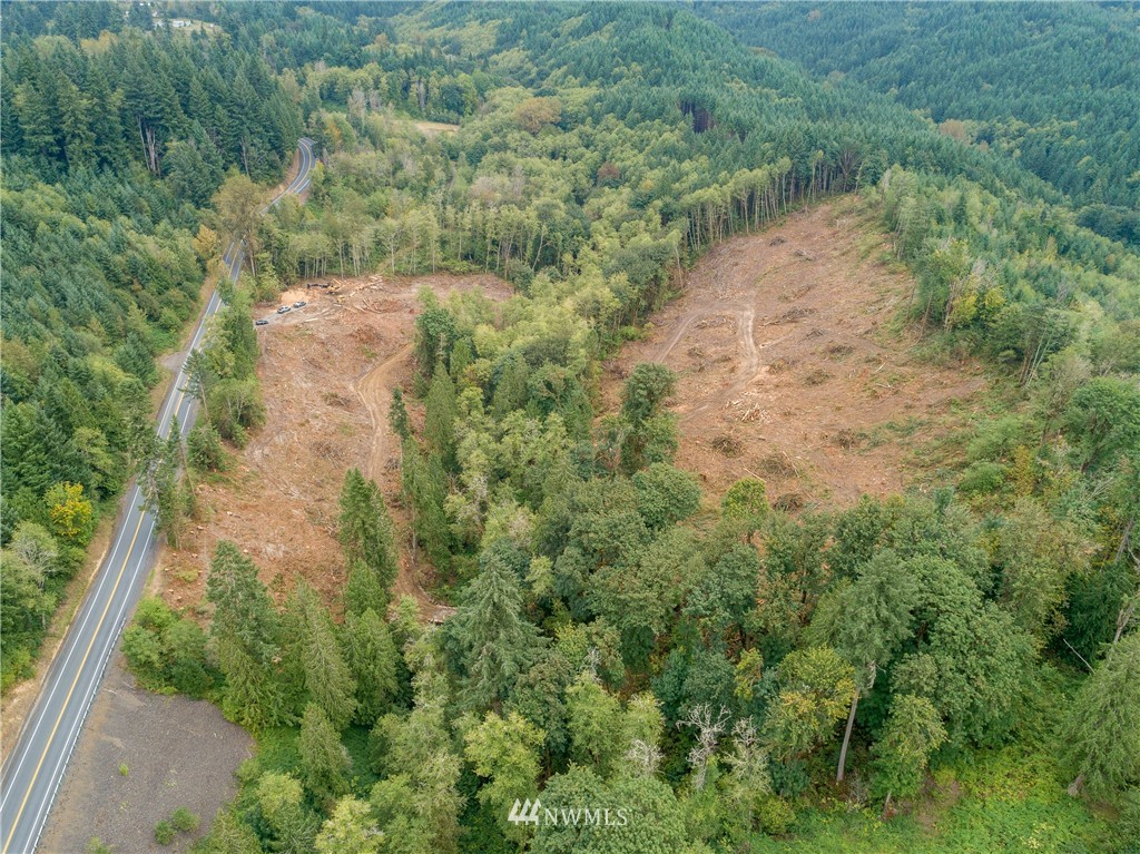 0 Holcomb Road Kelso, WA 98626 - Photo 4 of 14 Gallery Image 4
