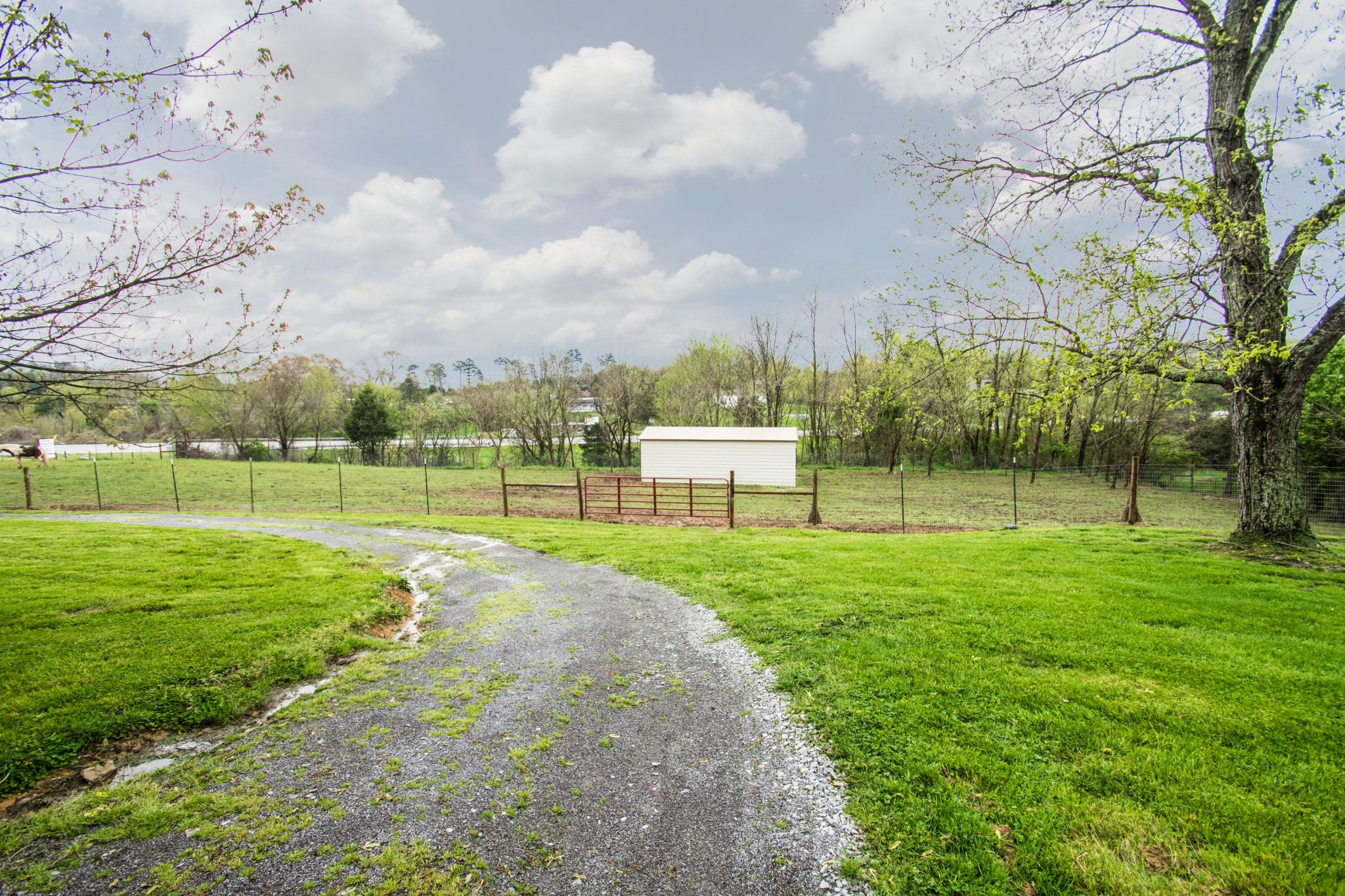 115 North Springview Road Maryville, TN 37801 - Photo 4 of 30