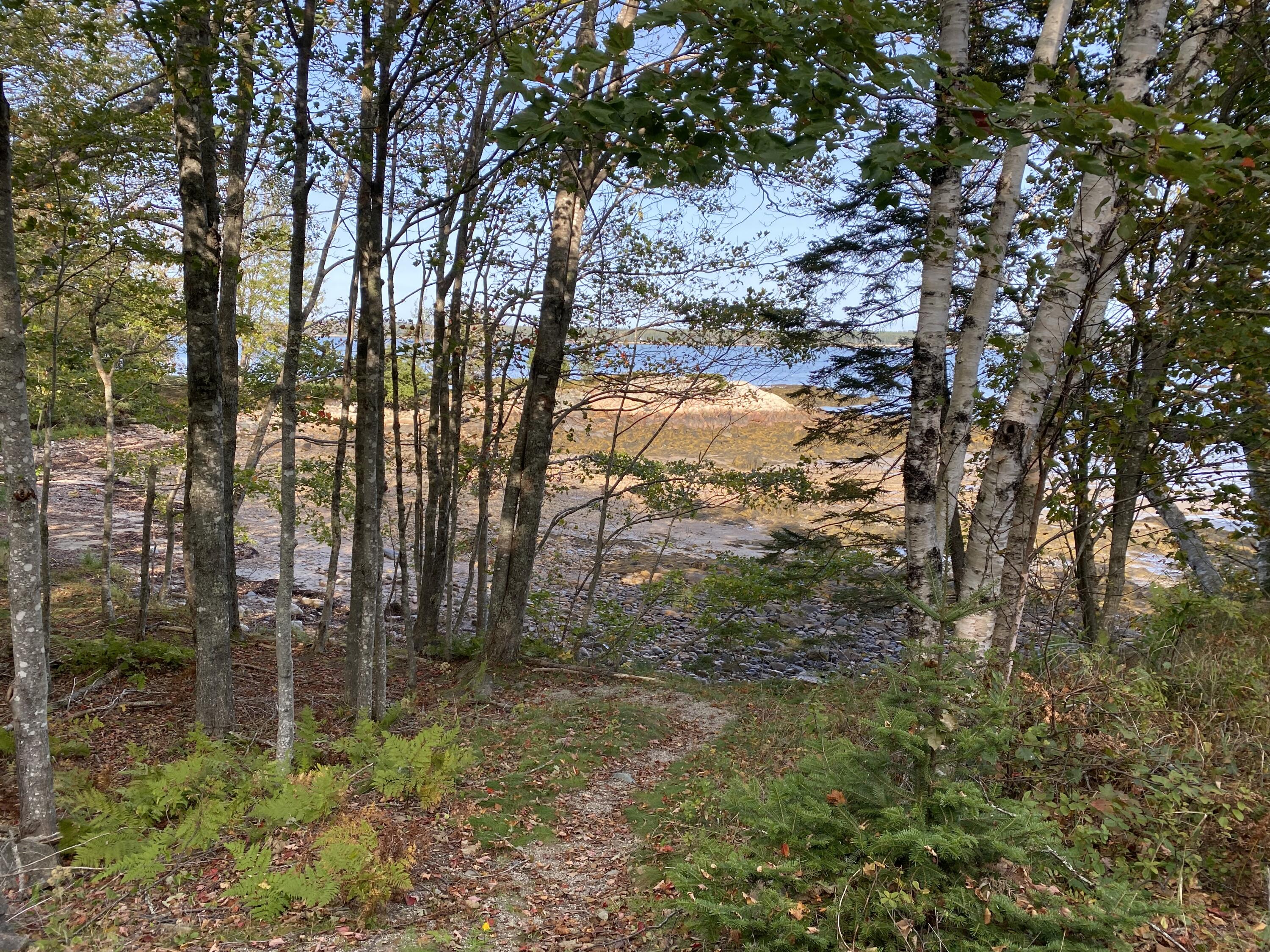 182 Paul Bunyan Road Corea, ME 04624 - Photo 20 of 45 85