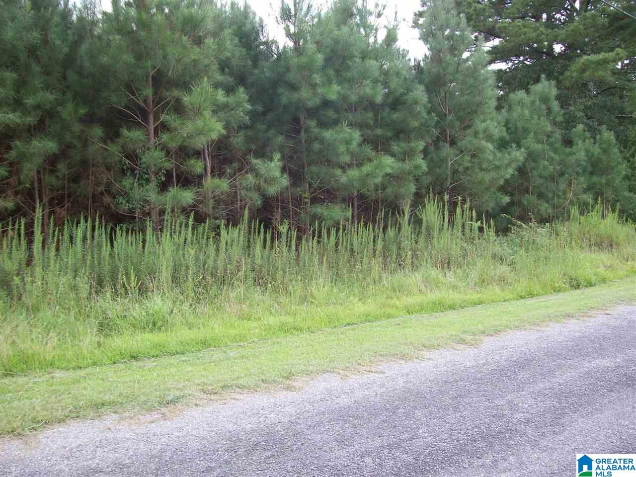6909 Elbert Street, Unit 1 Bessemer, AL 35023 - Photo 1 of 2