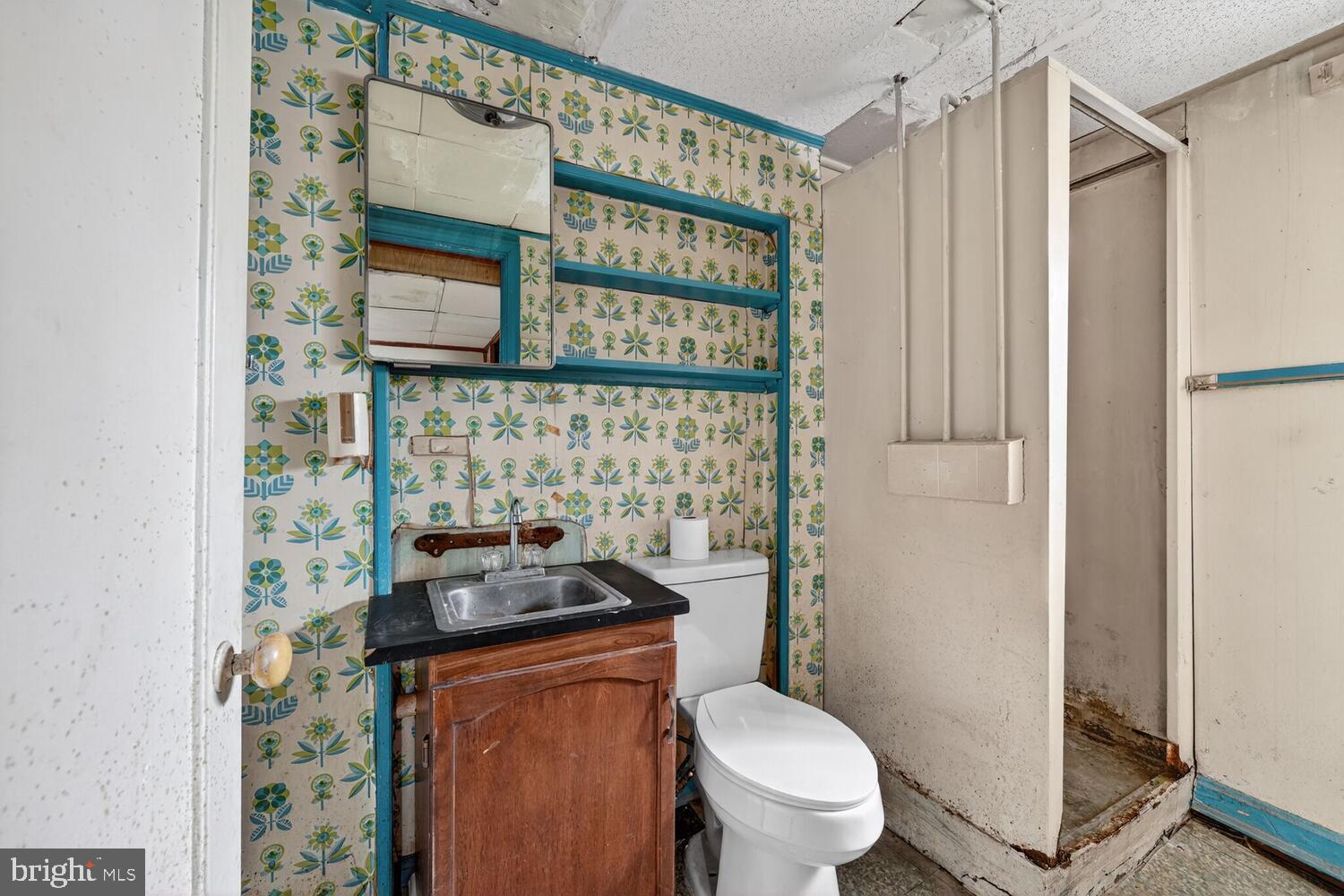 3701 Camden Street Southeast Washington, DC 20020 - Photo 24 of 33 a bathroom with a toilet a sink and a shower