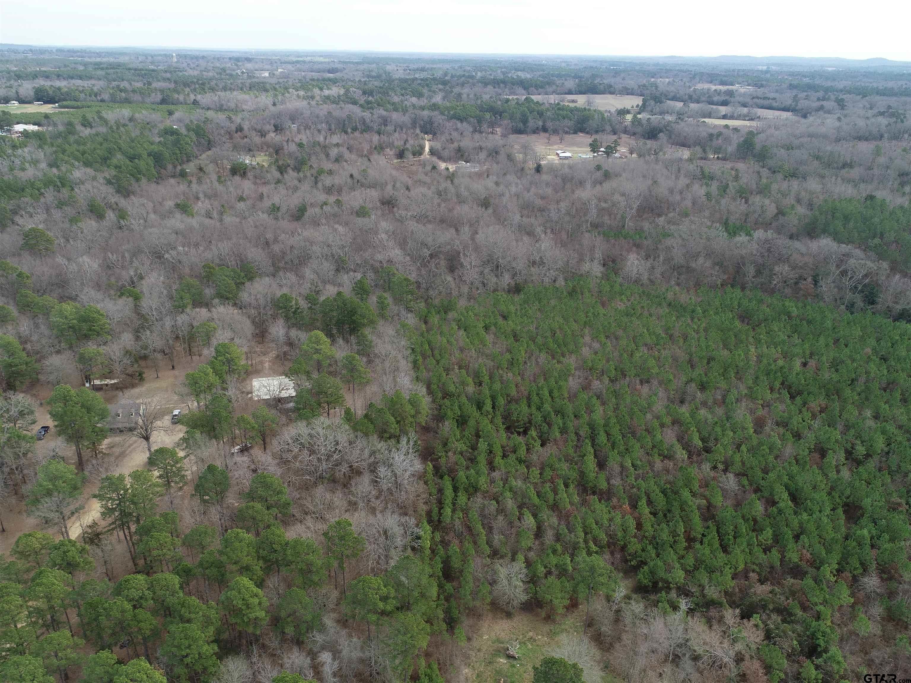 4557 Elderberry Road Gilmer, TX 75644 - Photo 11 of 38