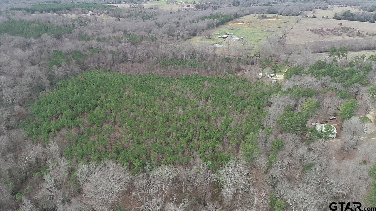 4557 Elderberry Road Gilmer, TX 75644 - Photo 12 of 38