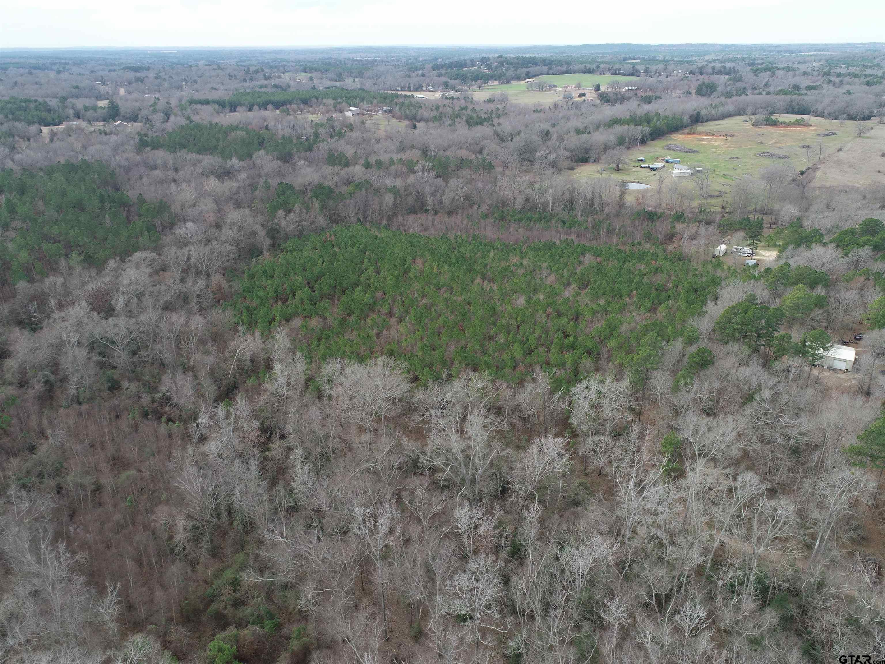 4557 Elderberry Road Gilmer, TX 75644 - Photo 13 of 38